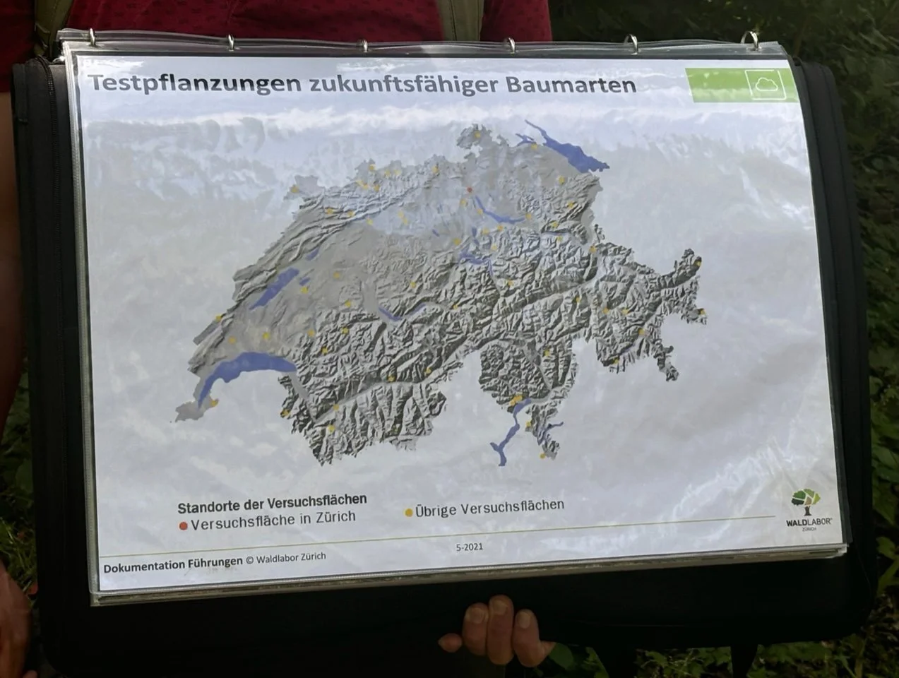 Blog Post Title Four (Copy) (Copy) (Copy) (Copy) (Copy) (Copy) (Copy) (Copy)