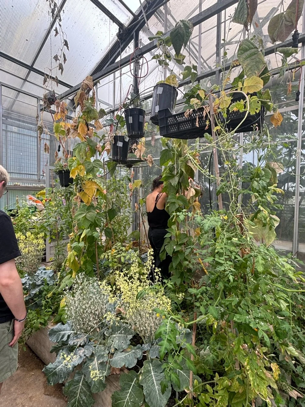 Blog Post Title Four (Copy) (Copy) (Copy) (Copy) (Copy) (Copy)