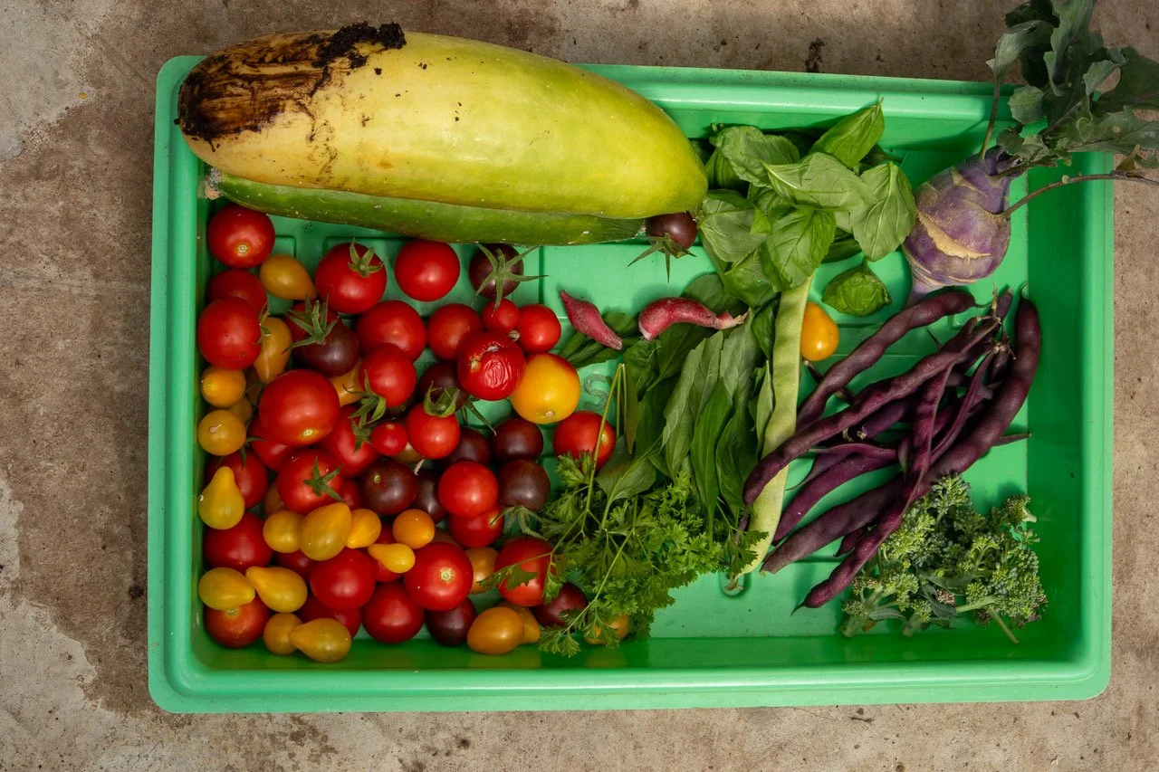 Blog Post Title Four (Copy) (Copy) (Copy) (Copy) (Copy) (Copy) (Copy)