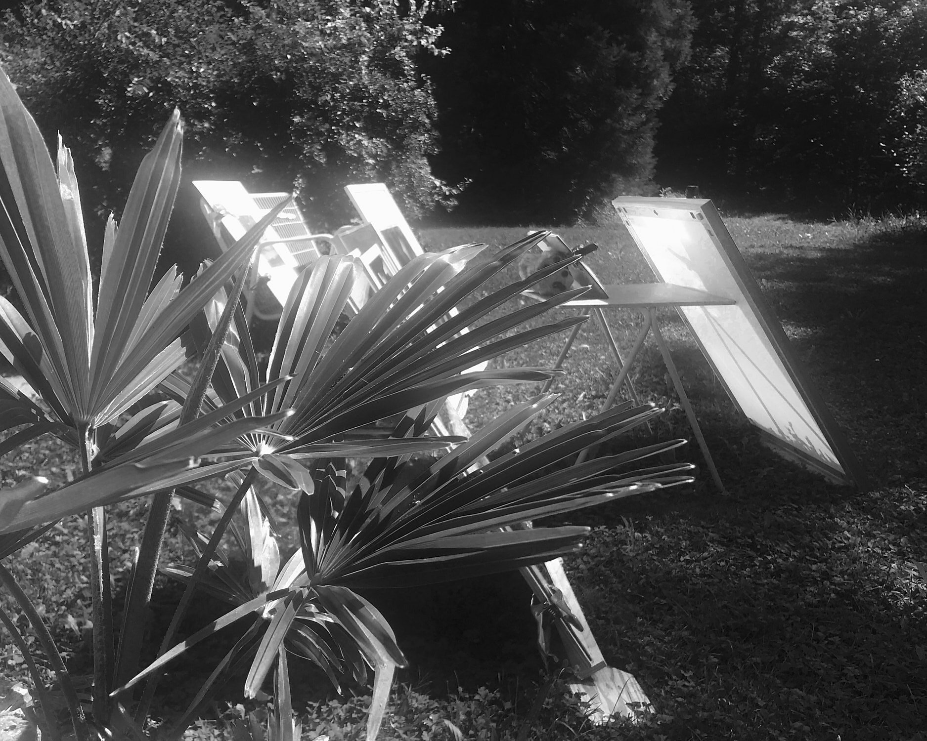 Blog Post Title Four (Copy) (Copy) (Copy) (Copy) (Copy) (Copy) (Copy) (Copy) (Copy) (Copy) (Copy) (Copy) (Copy) (Copy) (Copy) (Copy) (Copy) (Copy) (Copy) (Copy) (Copy) (Copy) (Copy) (Copy) (Cop (Copy)