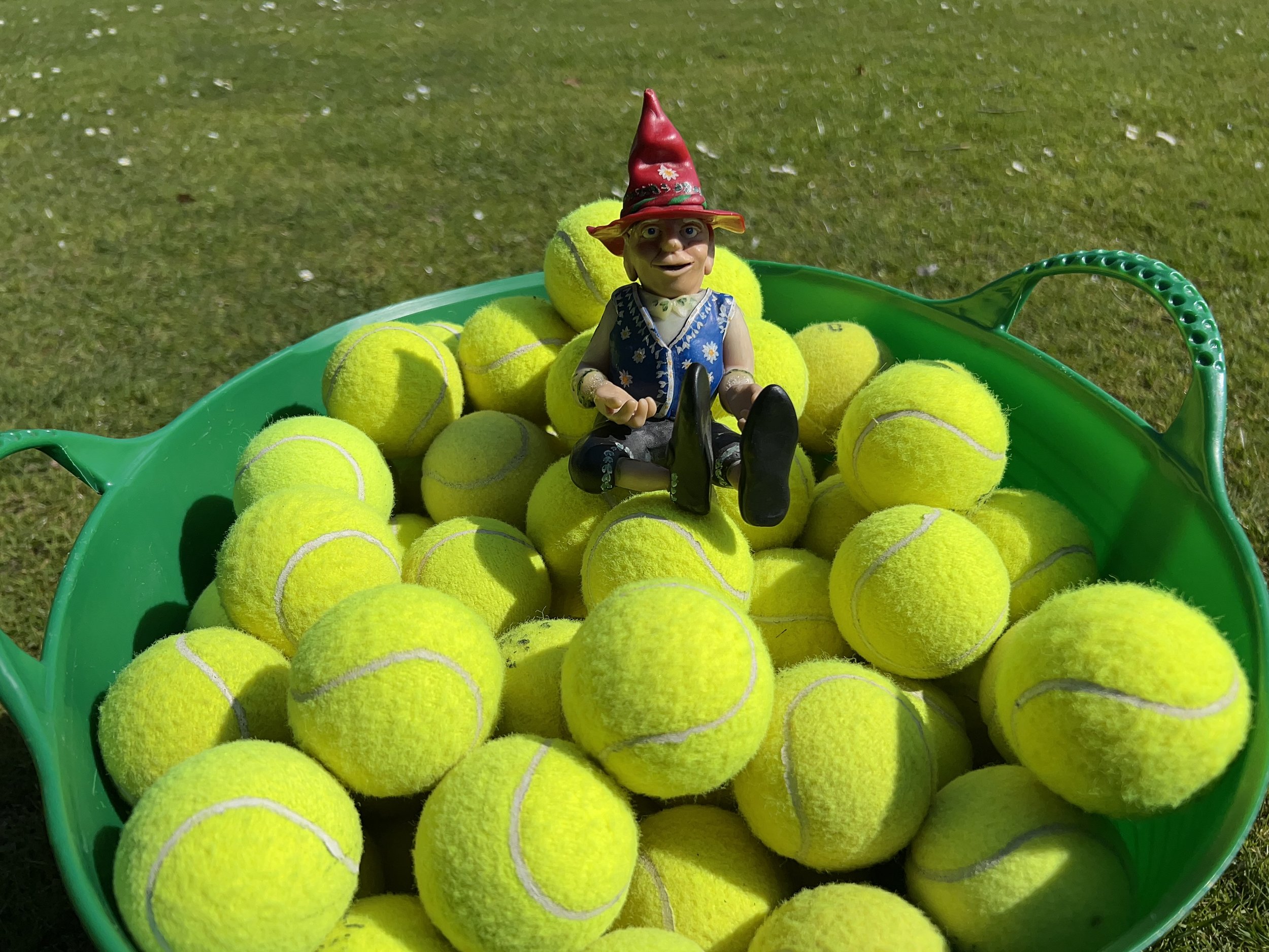 Tennis - Social