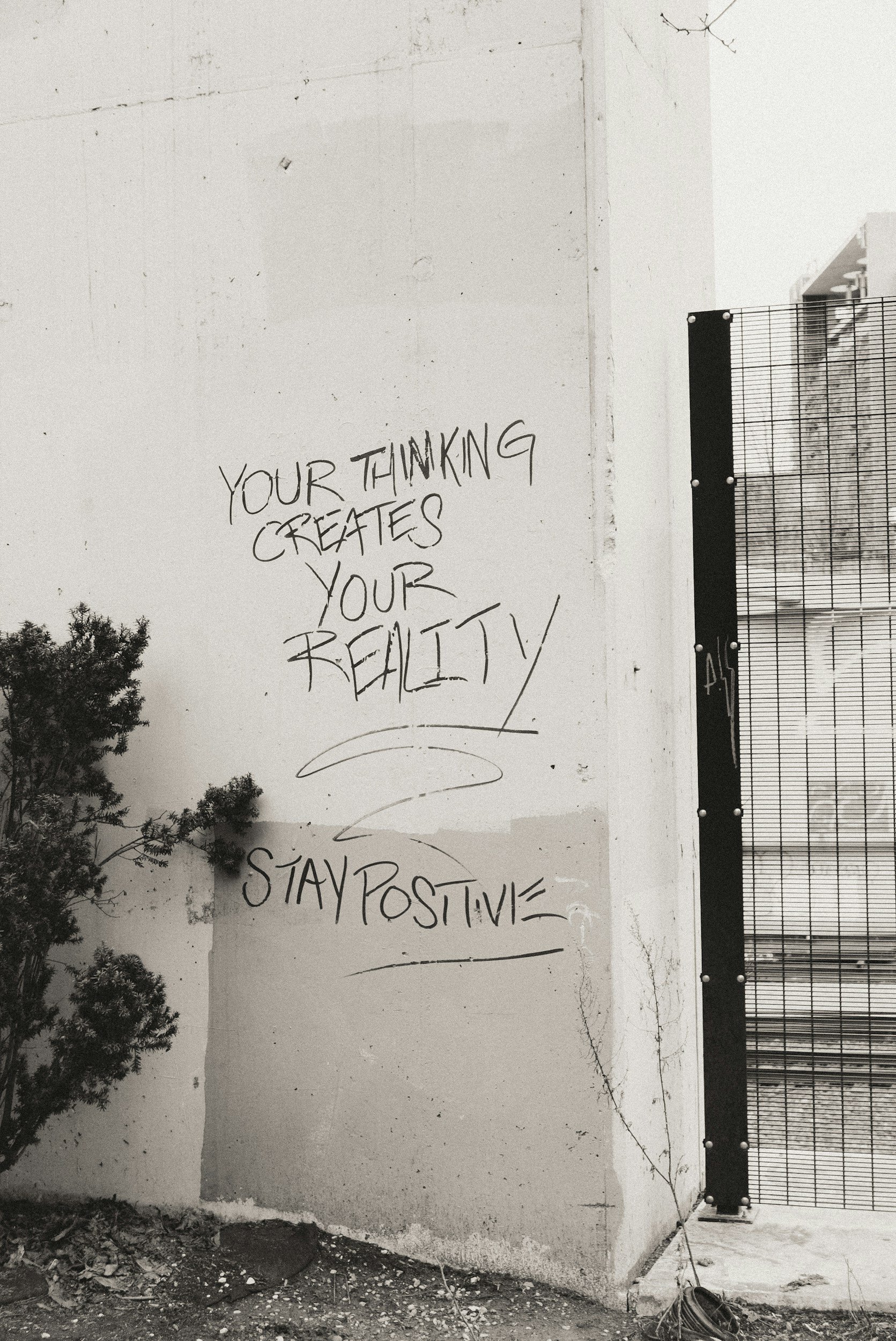 A black and white photo of a wall with graffiti that reads, 'Your thinking creates your reality. Stay positive.' beside a small bush, near a metal fence panel.