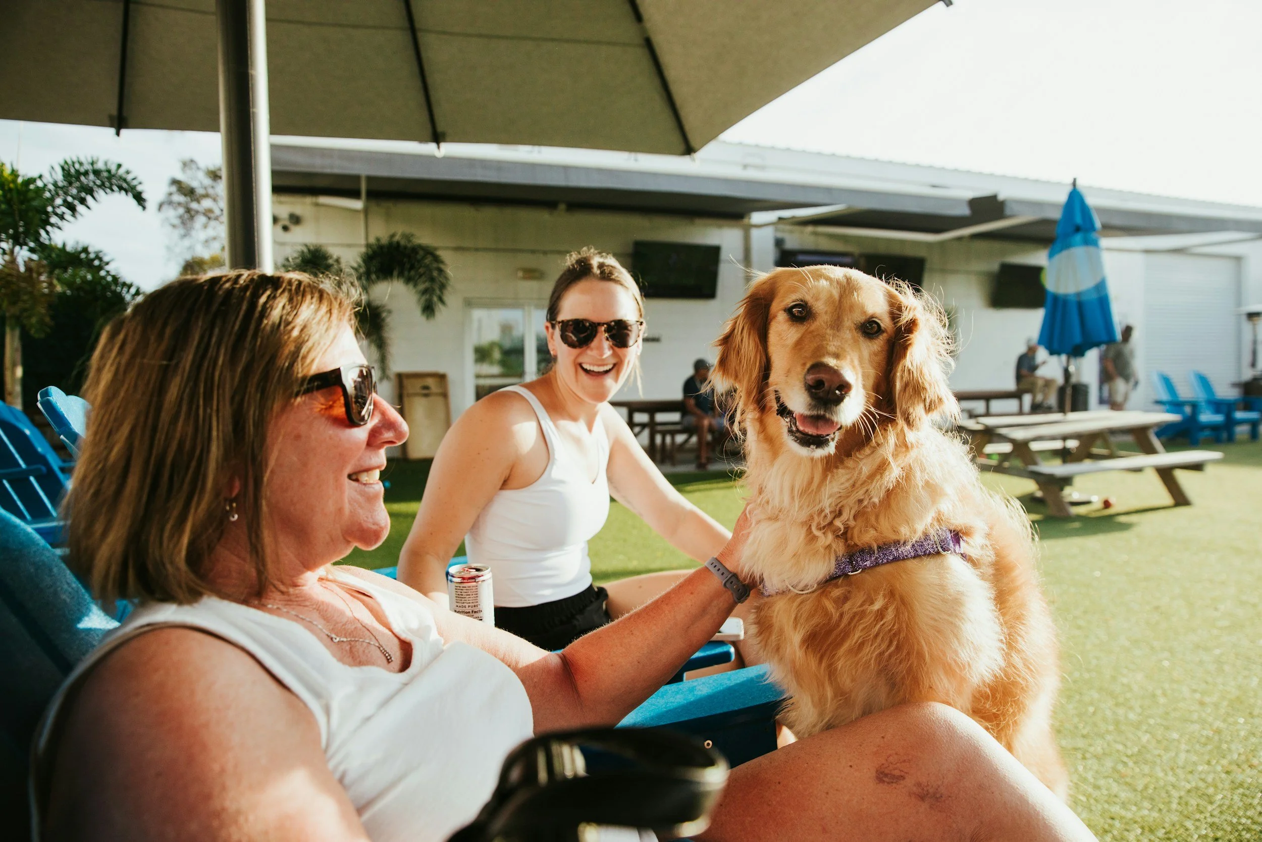 Two women and a golden retriever dog sitting outdoors under a large umbrella, enjoying a sunny day at a social gathering with picnic tables and blue umbrellas in the background.