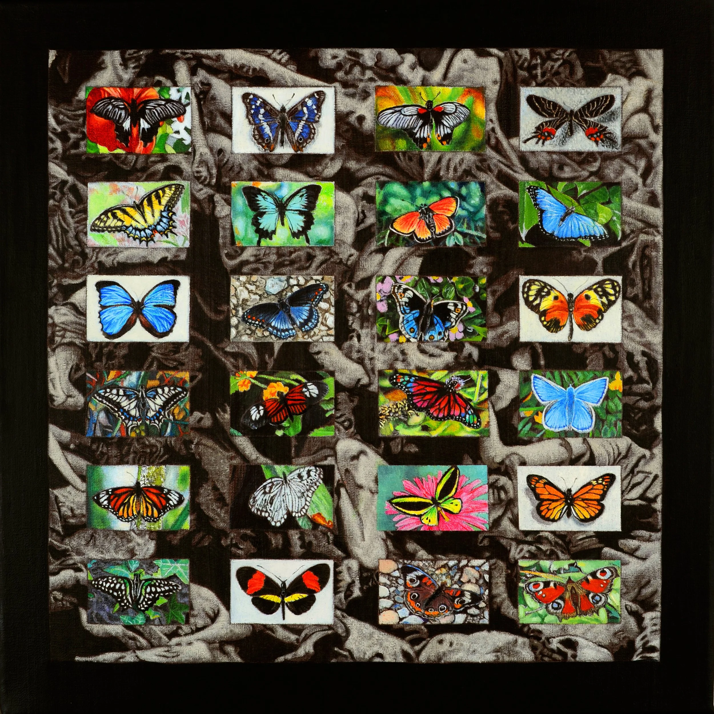 As Butterflies in the Storm. 16x16inches. Size.4MB.jpg