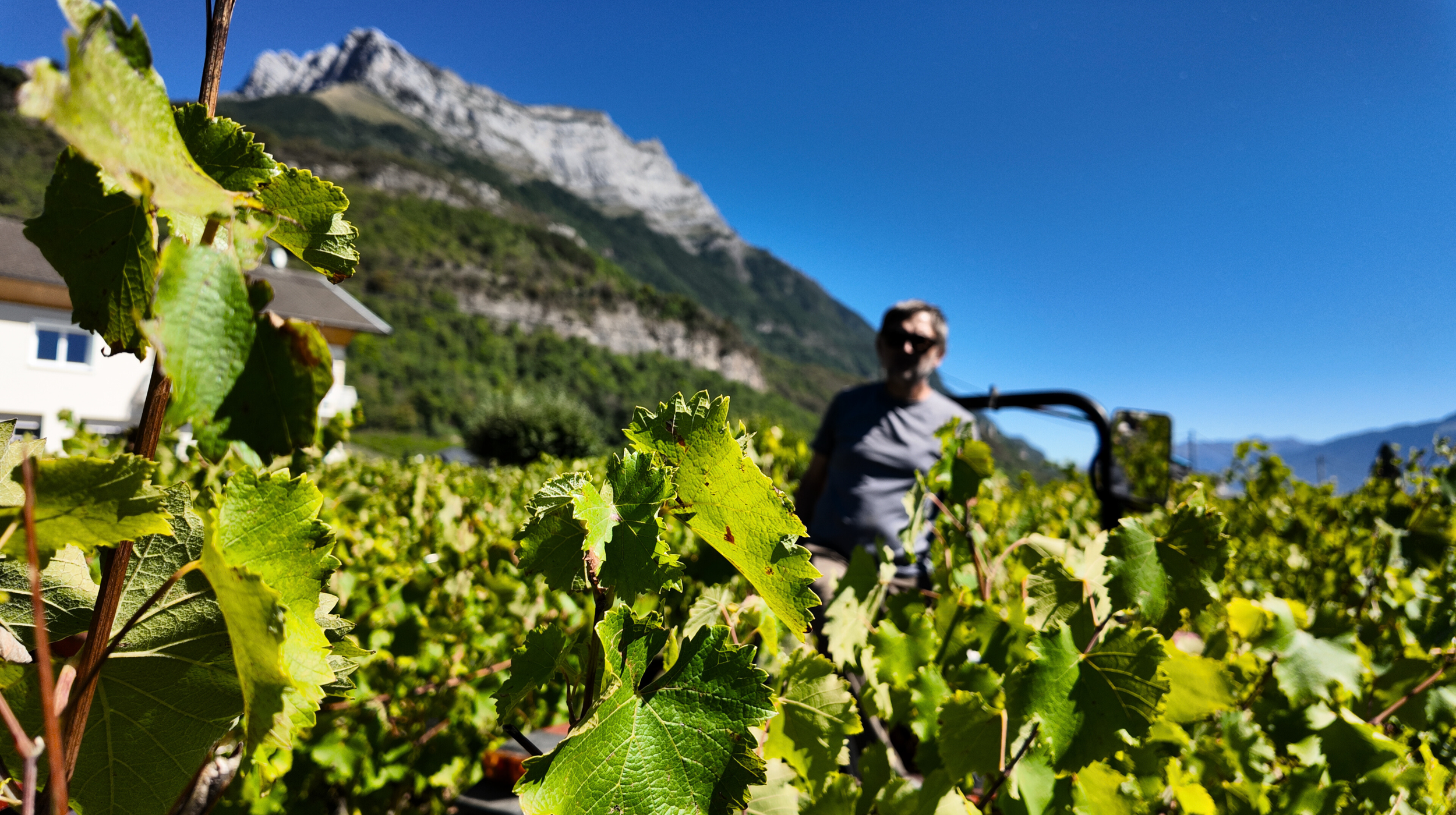 domaine raphael saint germain saint pierre d'albigny.png