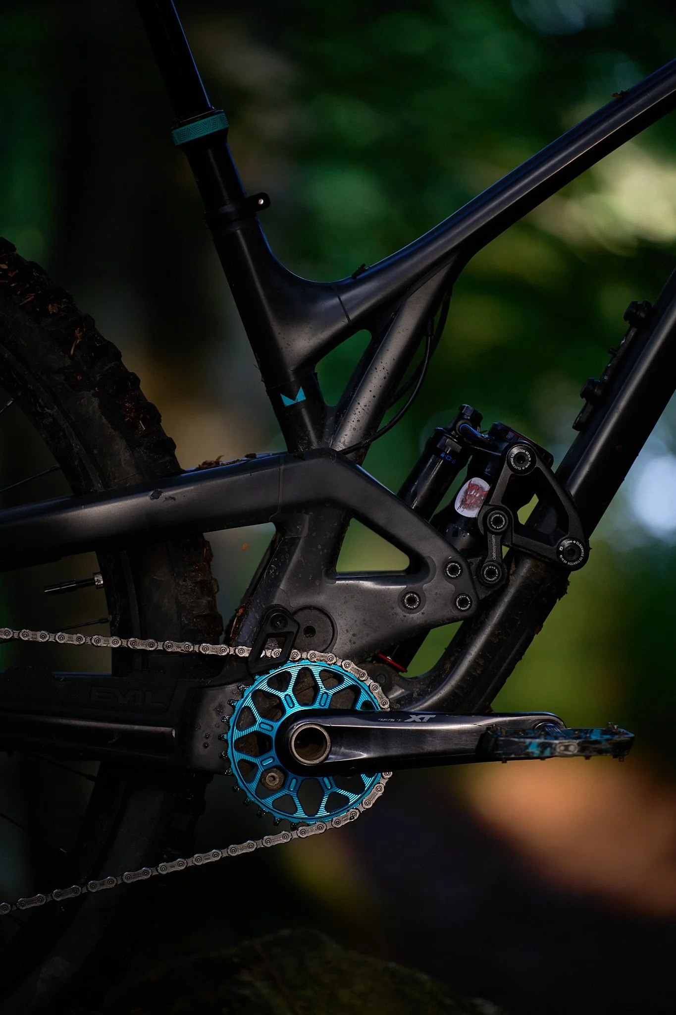 chainrings102025 7.JPEG