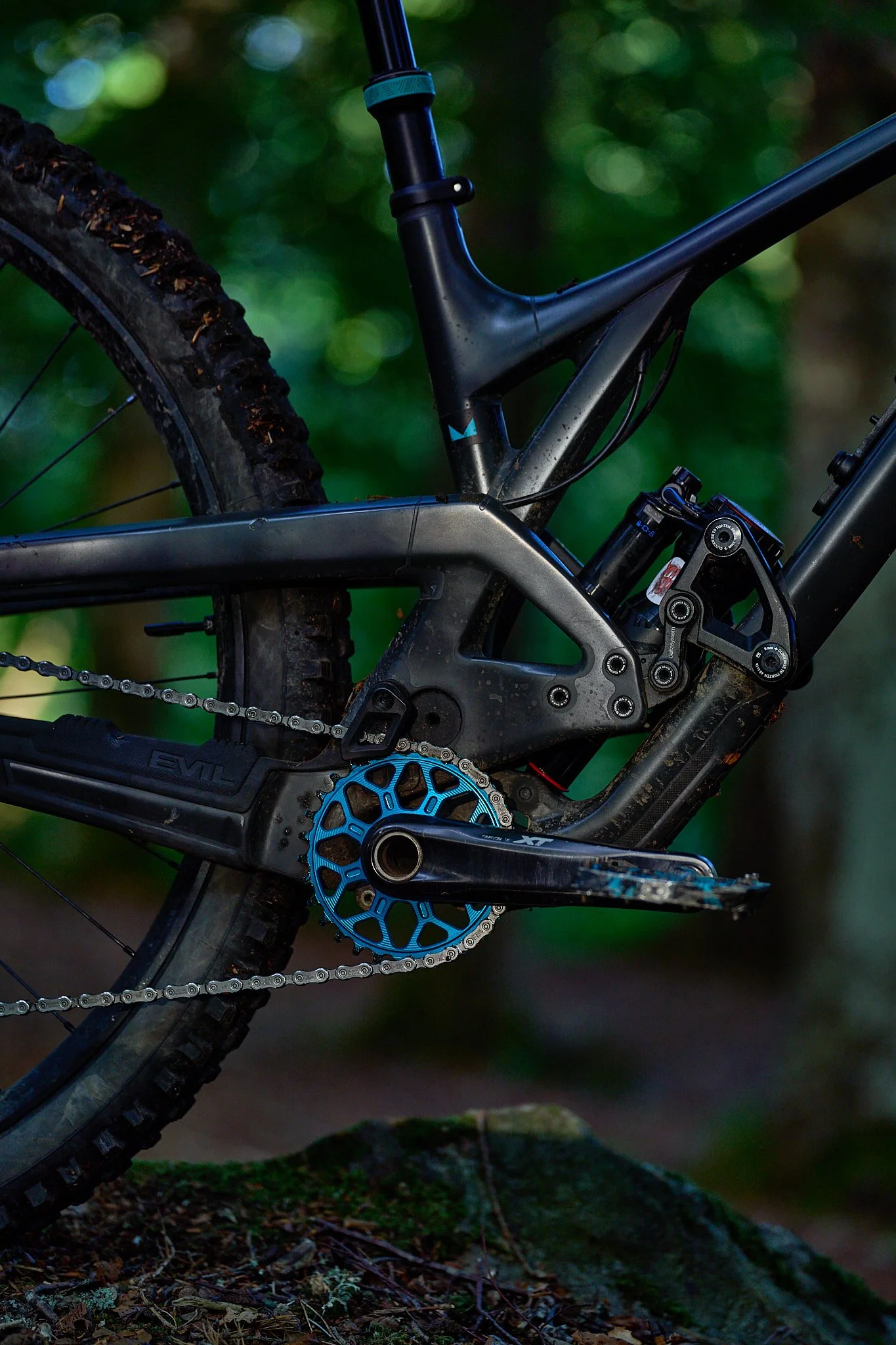 chainrings102025 12.JPEG