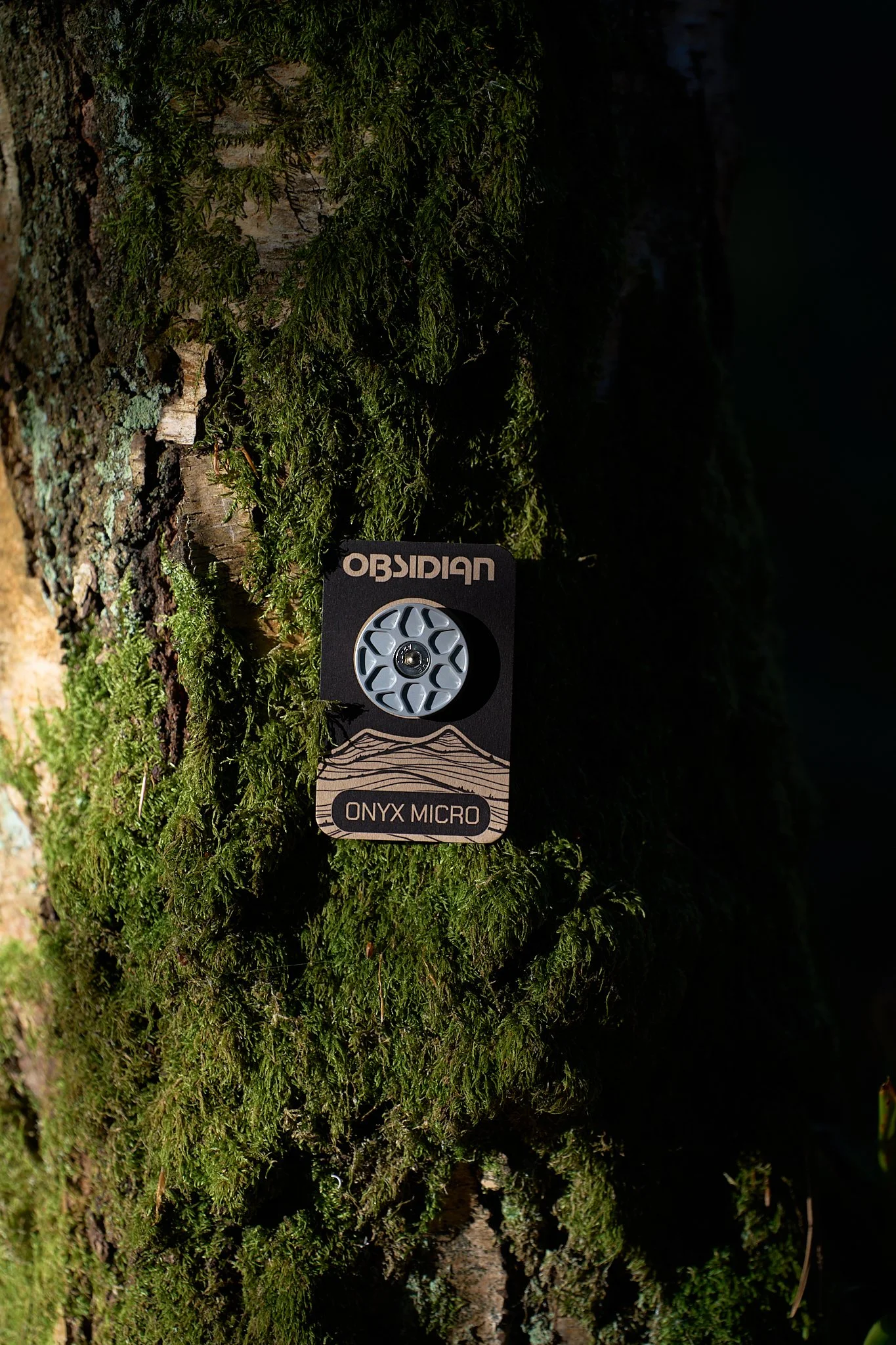 ontree 12.jpg