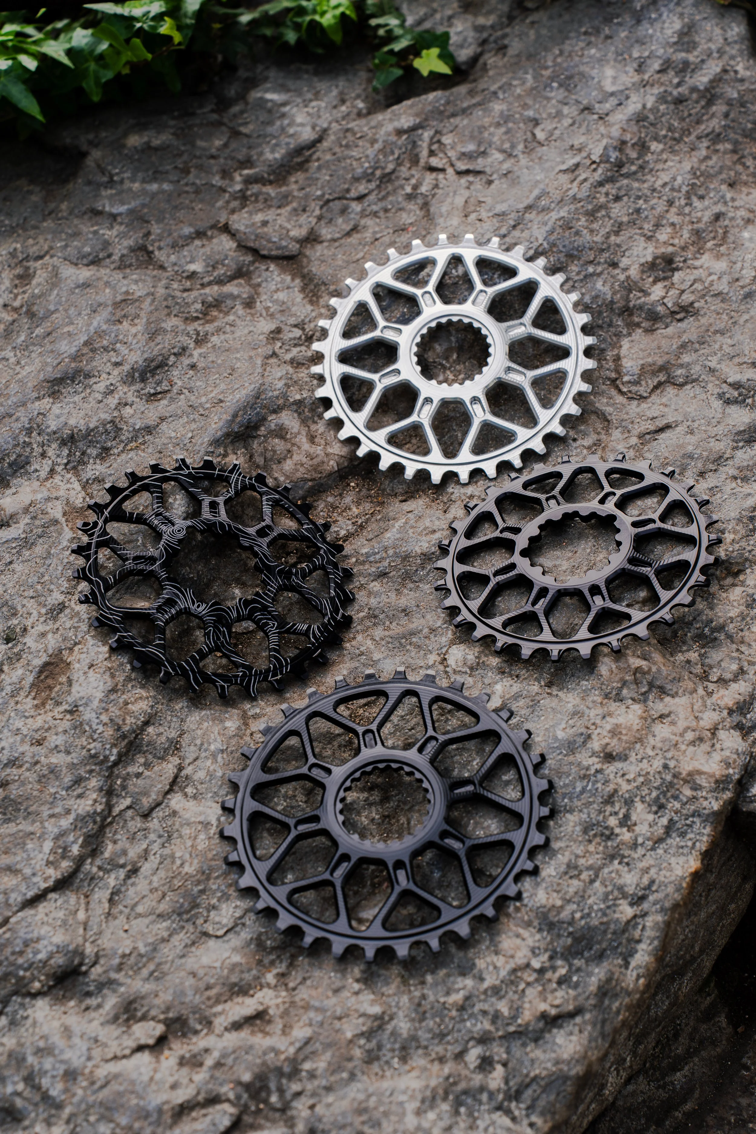 chainrings13 2.JPEG