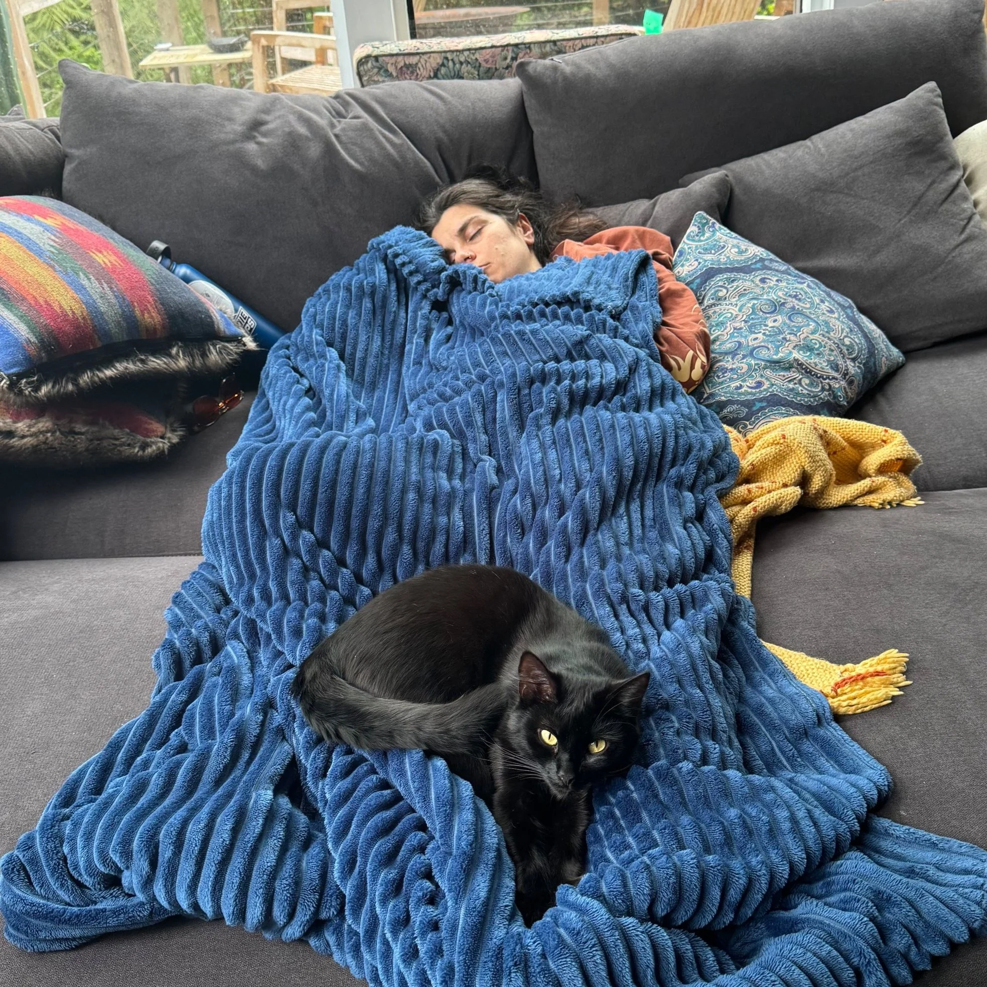 A person with long, dark hair is peacefully sleeping on a gray sofa, covered with a thick blue blanket. A black cat is curled up on the blanket near the person, looking at the camera with yellow eyes. There are two decorative pillows on the sofa, one
