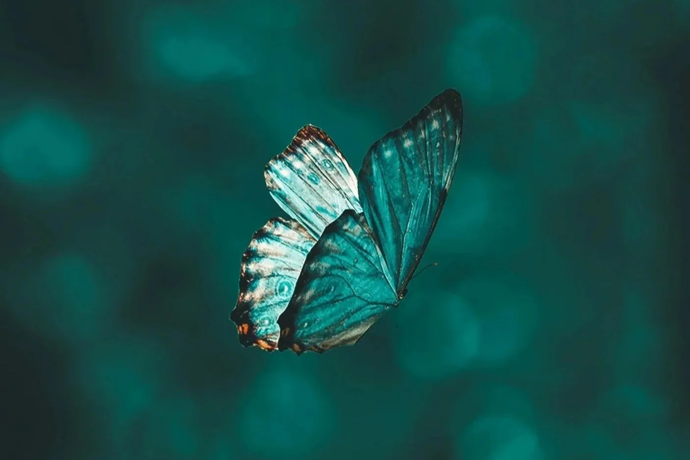 Why You Feel Resistance to Your Purpose (And What It Actually Means)