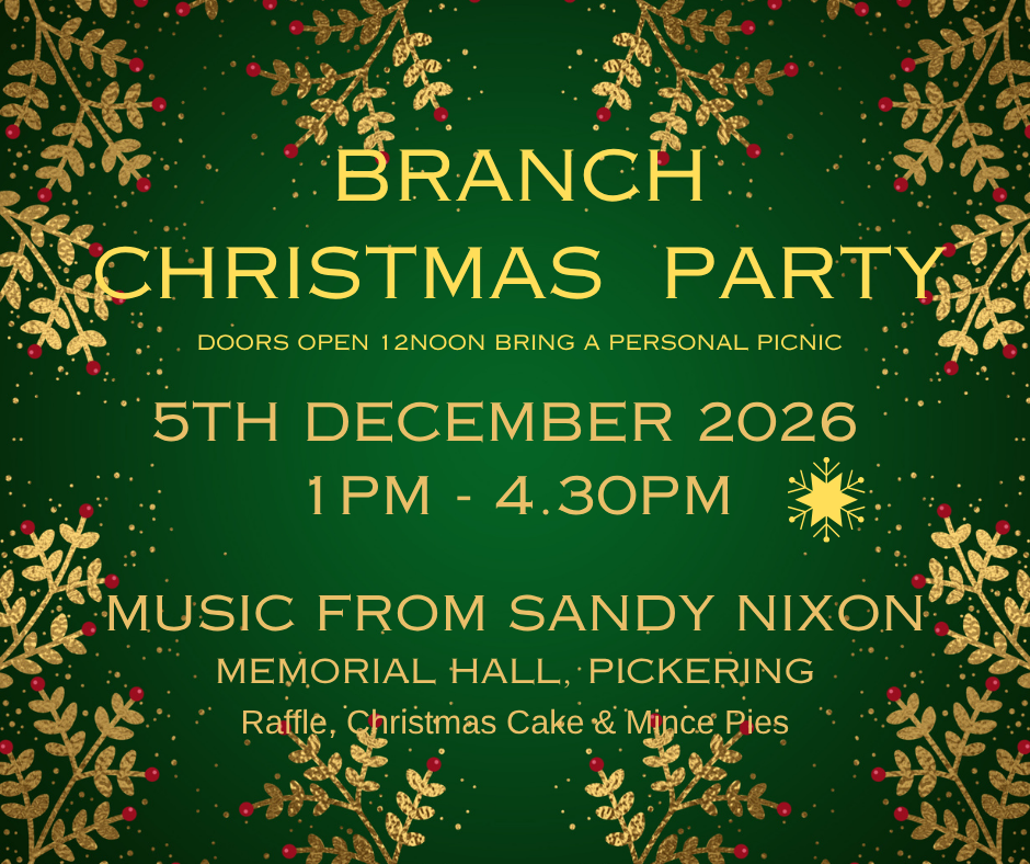 Branch Christmas Dance