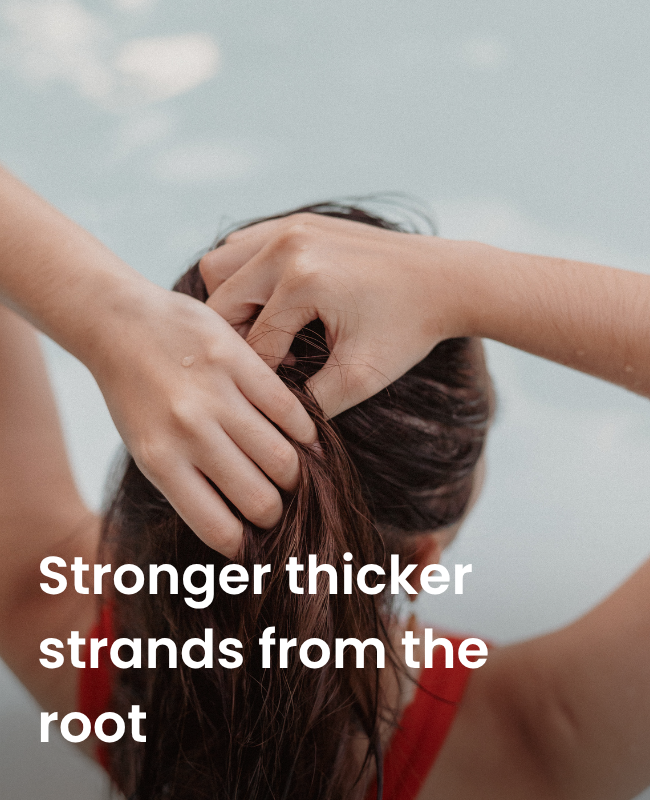 Stronger thicker strands from the root.png