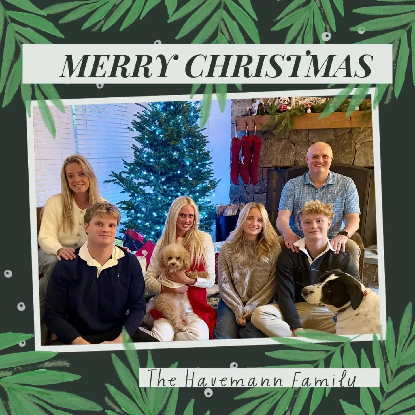 Wishing all my Penguin Families a Blessed day