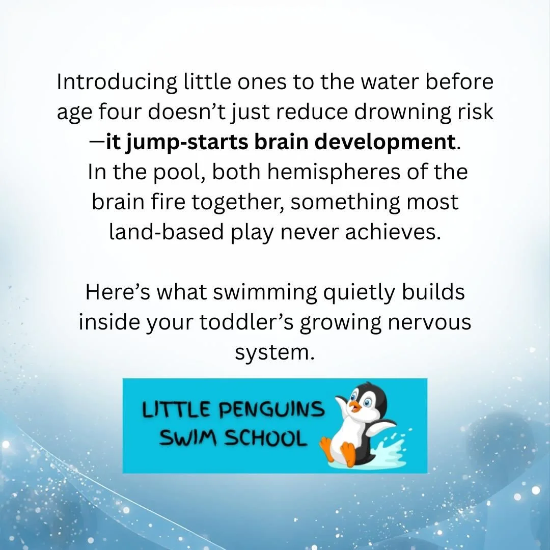 Please share the above information with your family and friends.
Did you know what swimming actually does for little ones? 

Let&rsquo;s keep our little ones safe in and around the water.
Little Penguins Swim School &mdash; Coach Debby 🐧