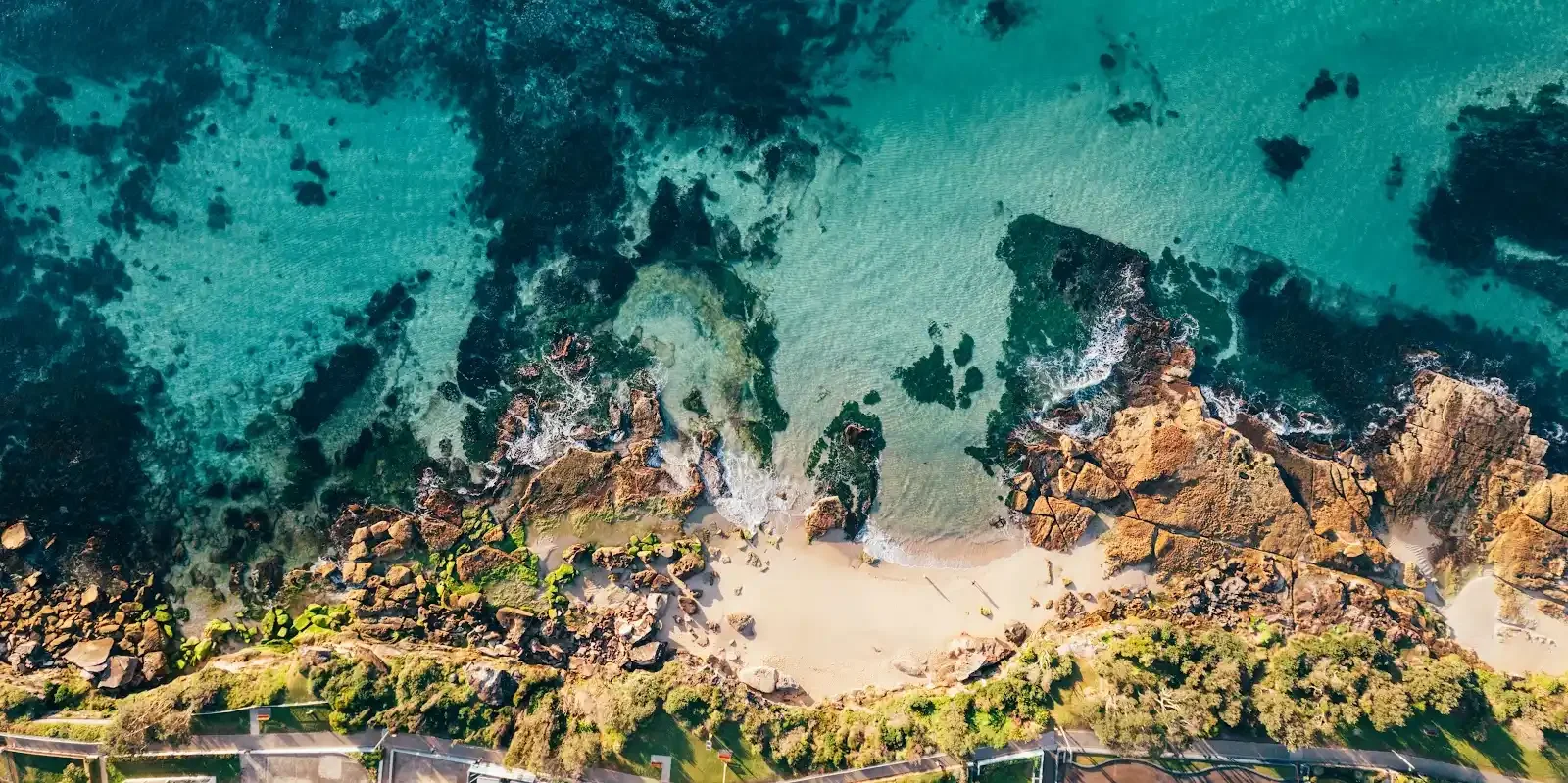 cronulla print -31.webp