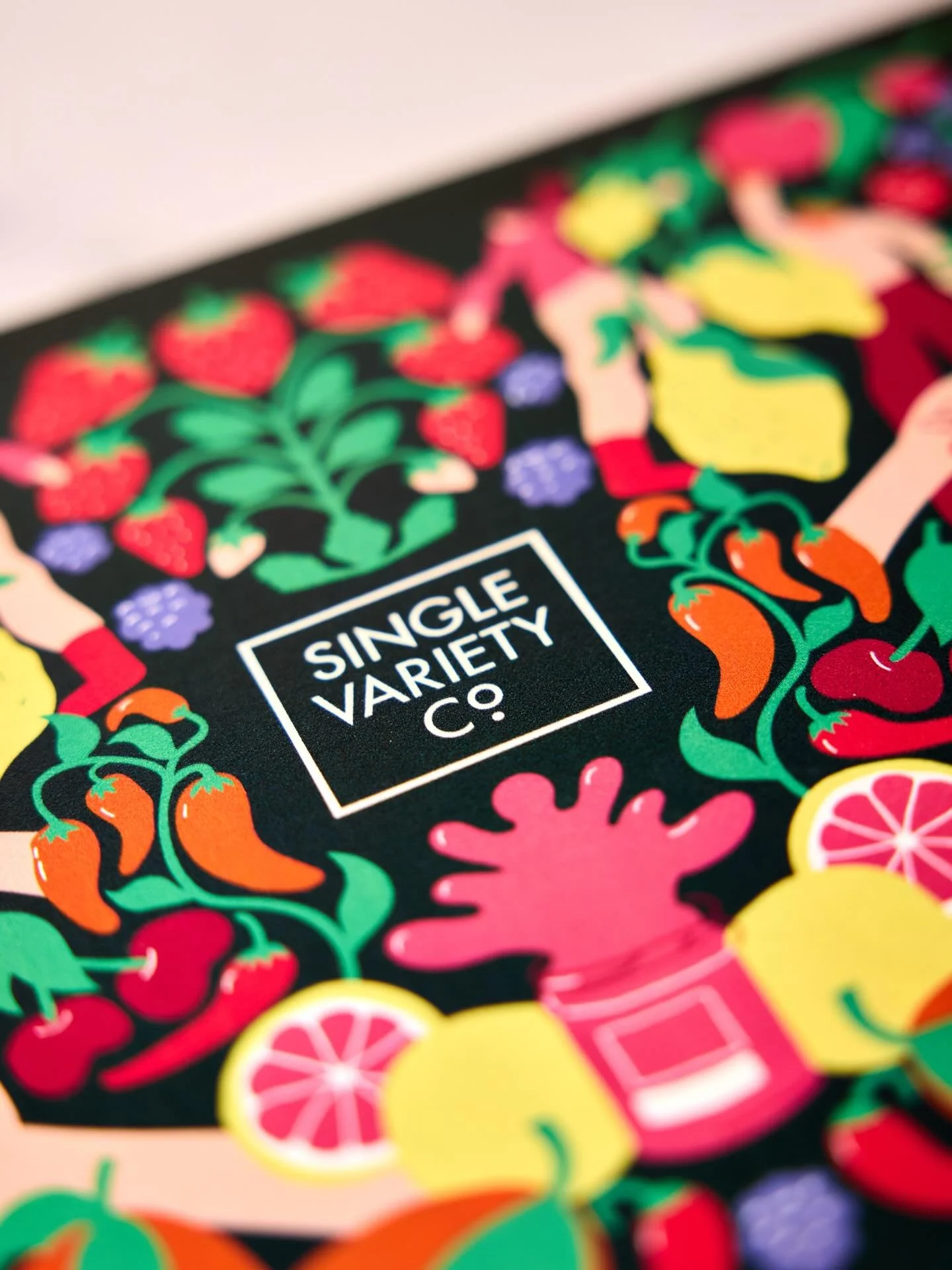 Illustration detail from @singlevarietyco gift box. Read more about the inspiration behind the design on @peopleofprint - link in my bio #illustration #designinspiration #illustratedpackaging