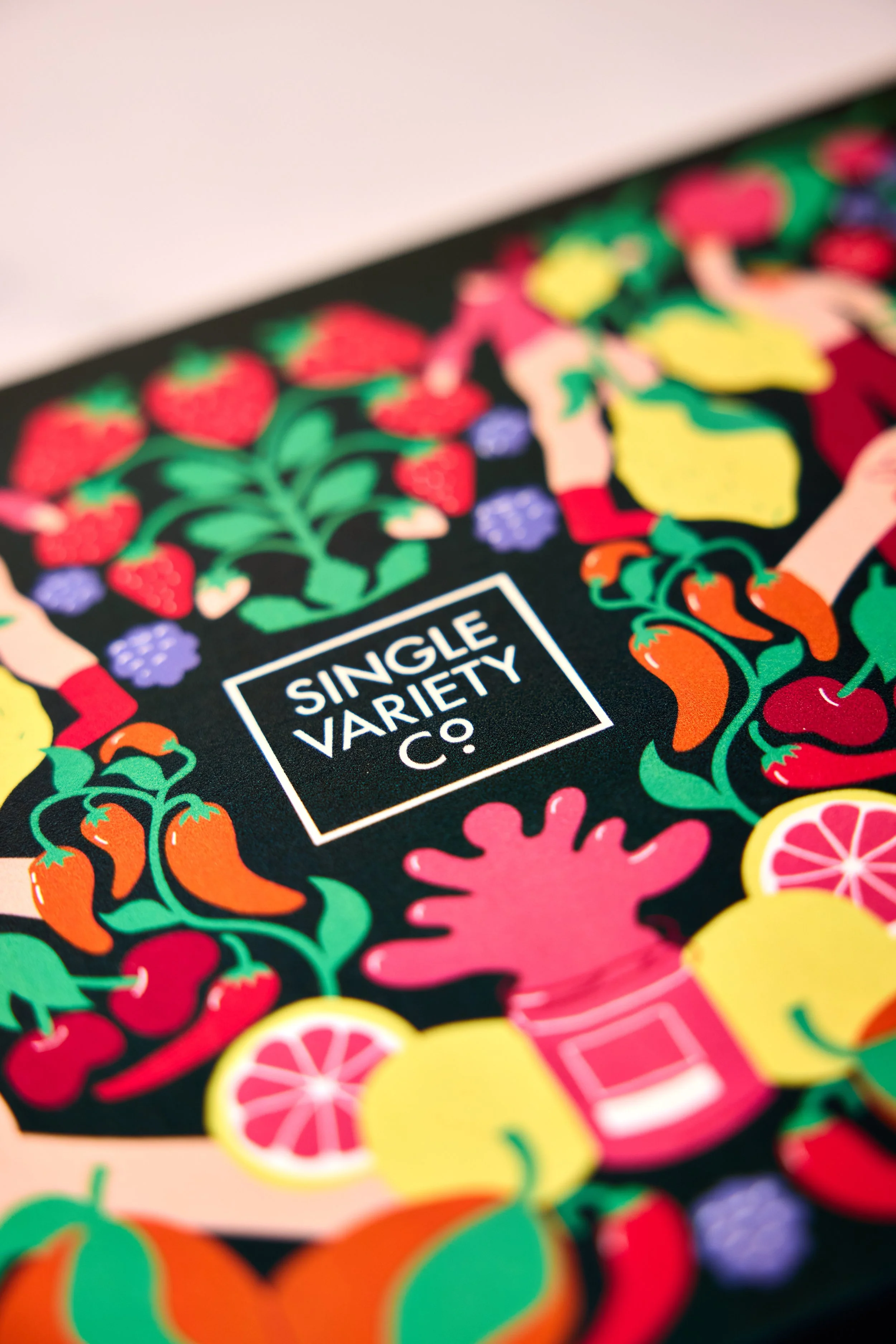 Christmas - Giftbox Details - SVC Box Sets 202518109_HiRes.jpg