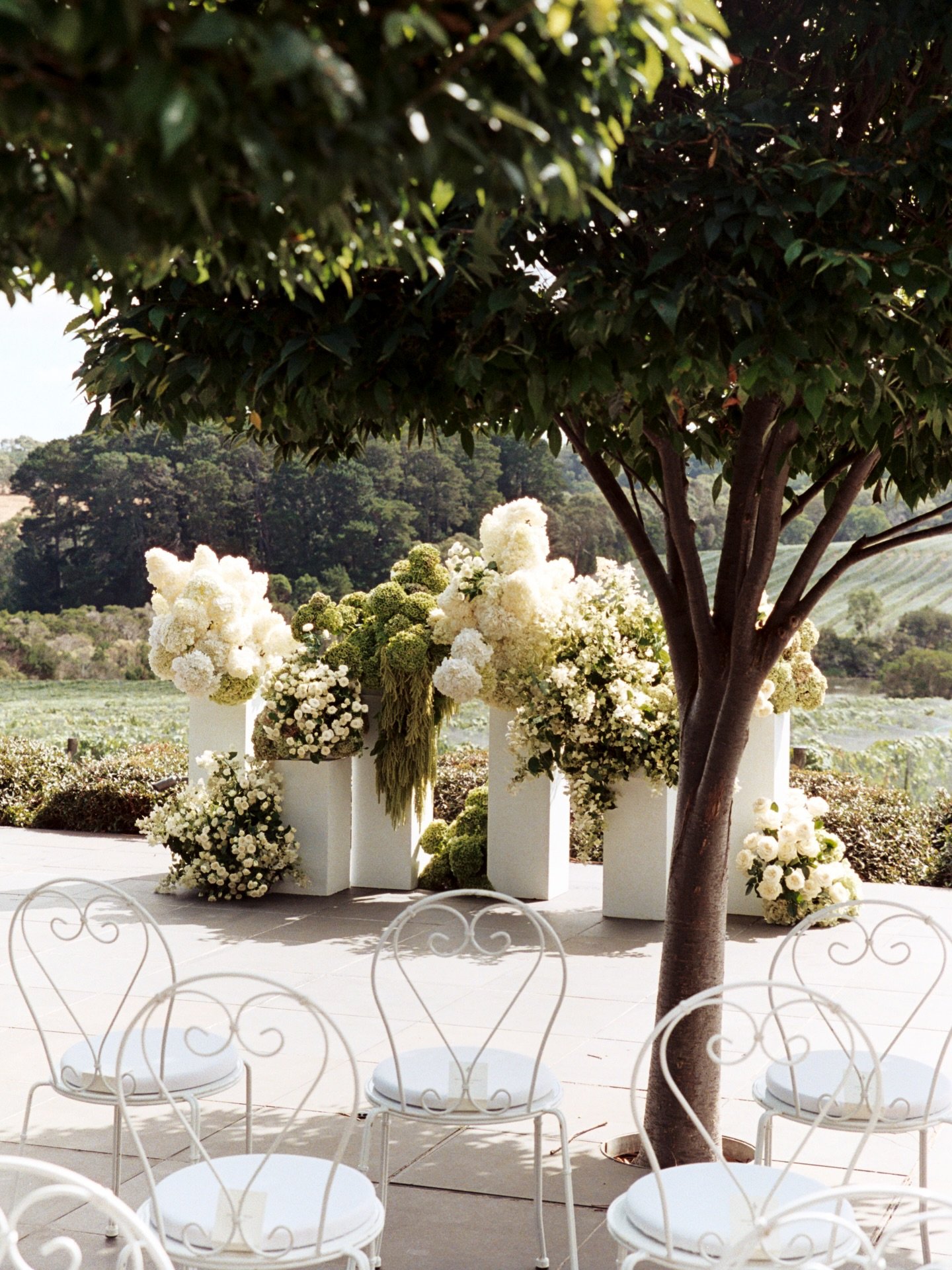 C&amp;A &mdash; A day defined by romance, artistry, and intentional details&nbsp;🏹⁠
⁠
Planning, Styling and Coordination @thenuptialcollective⁠
Photography @analog_modern⁠
Venue @jackalopehotels⁠
Florals @wildflos