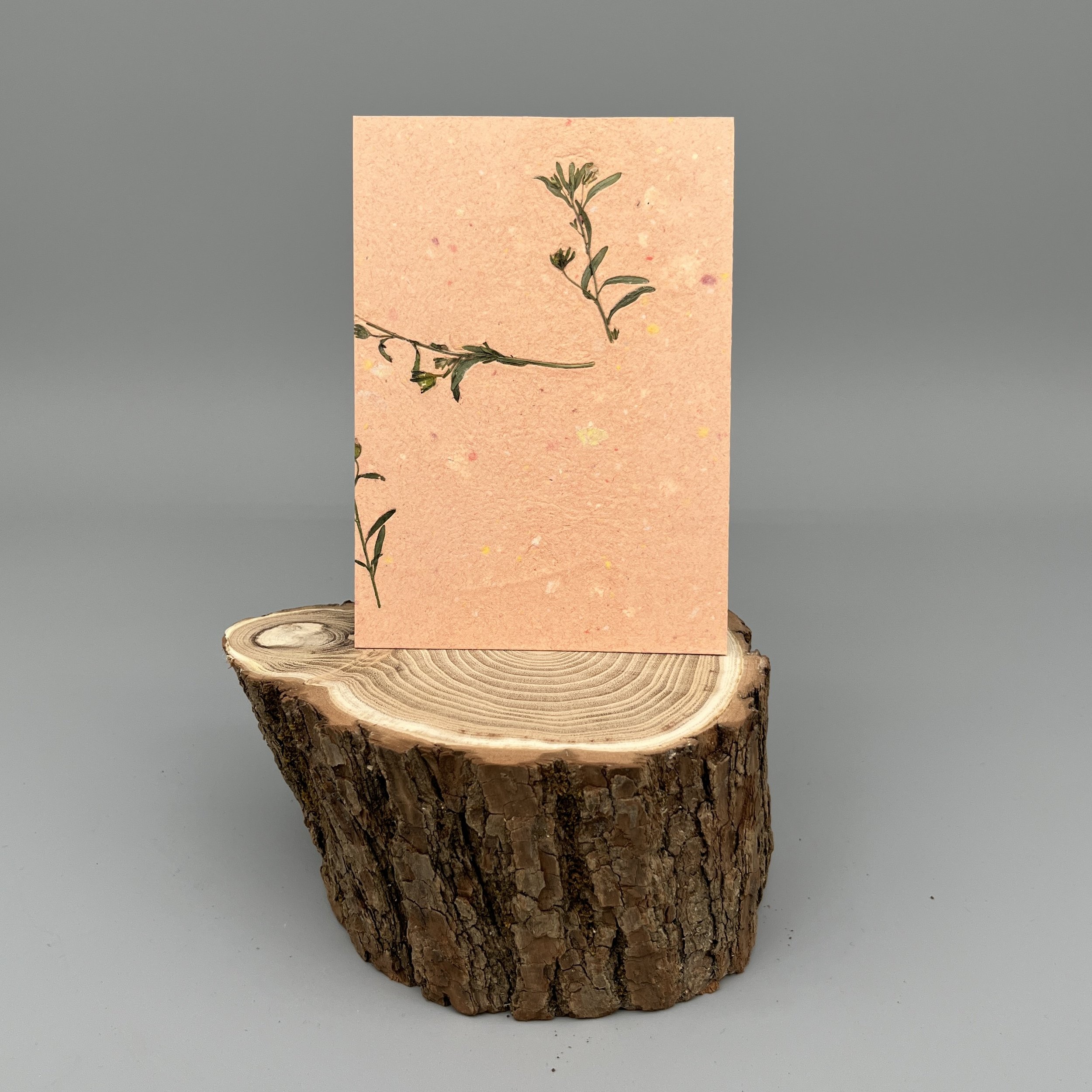 Karte handgeschöpft – Ewige Blume, unbedruckt