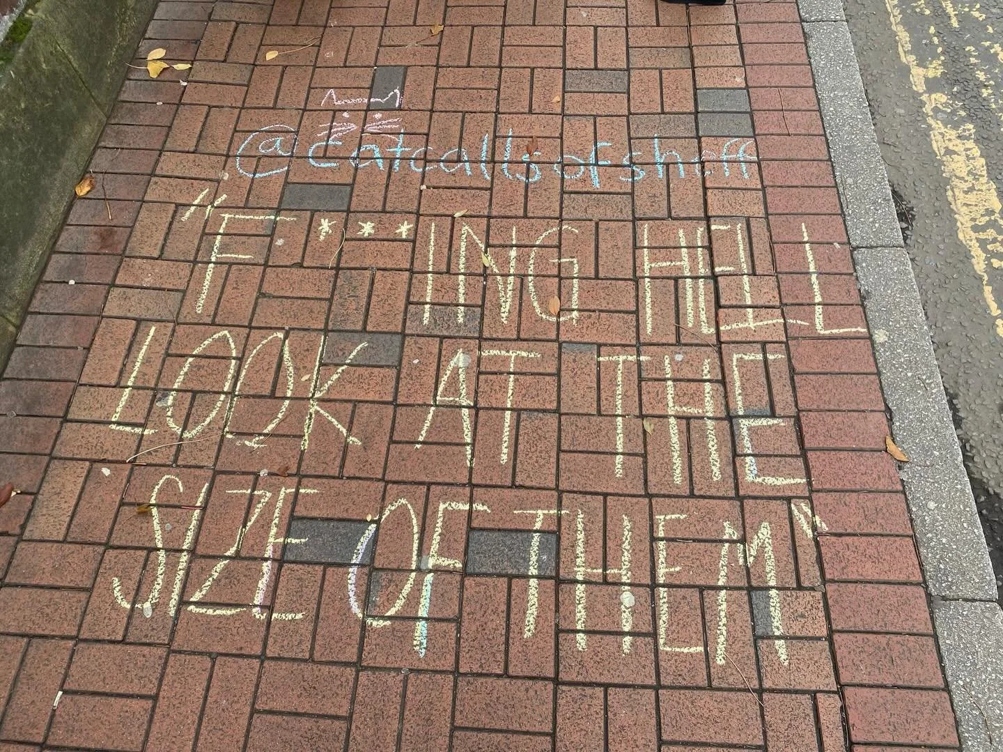 📍West Street 

&ldquo;Walking down West Street and a bunch of lads shouted &ldquo;fucking hell look at the size of them&rdquo; referring to my breasts&rdquo; 

#catcallsofsheffield