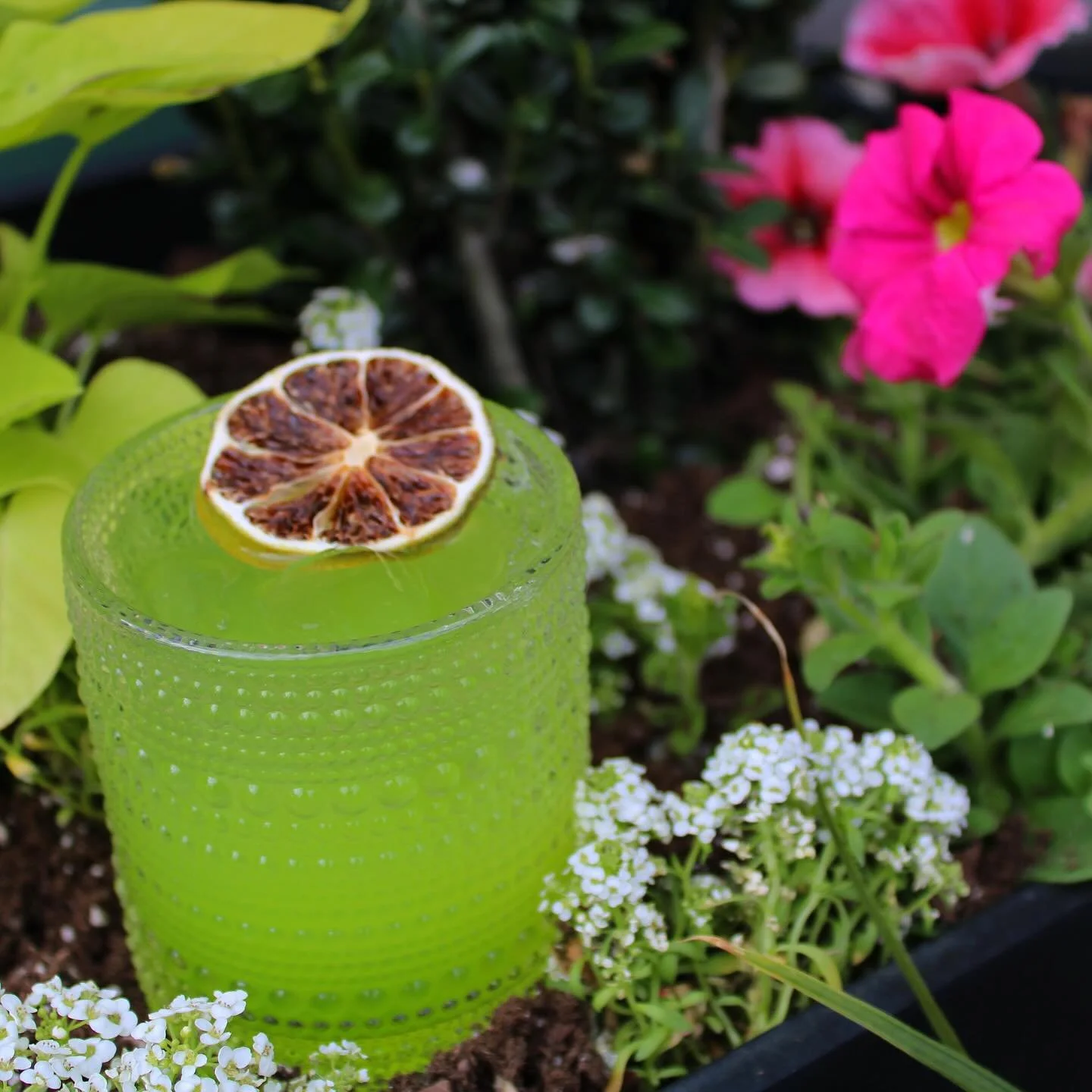 🌿 PSA: Plant &amp; Sip is almost here!

Succulent potting guided by @theblackplantman , curated wine pairings, and a seasonal tasting menu you don&rsquo;t want to miss.

📆 Tuesday, August 5th &bull; 6 PM
📞 Reservations by phone only &mdash; call (
