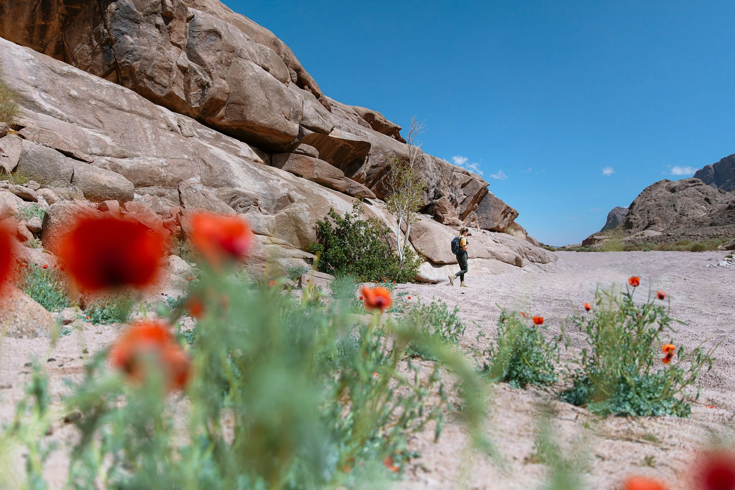 How Continuing Education Can Reinvigorate Your Therapy Practice