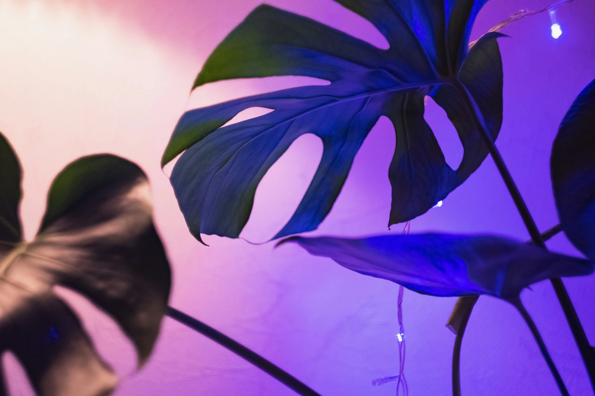 How Continuing Education Can Inprove Your Therapy Practice
