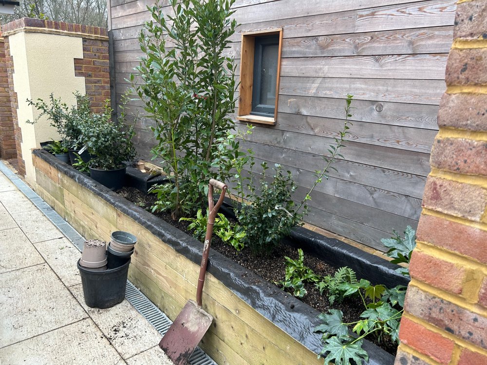 A rectangular garden bed with various green plants and shrubs, bordered with wooden panels, next to a building with grey wooden siding and a small window, with soil and gardening tools nearby.