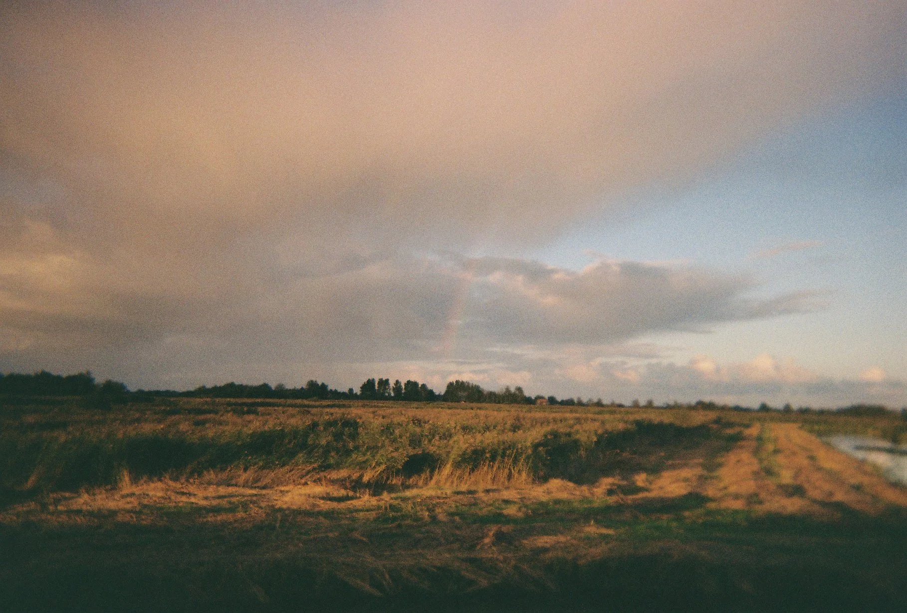 FILM PHOTOGRAPHY