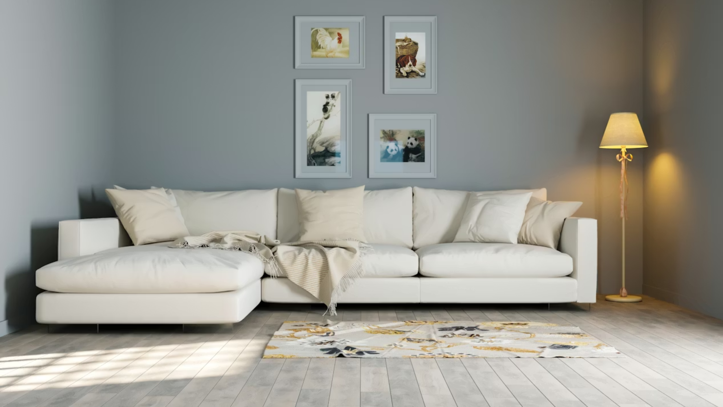 Sofa and Couch in the Living Room