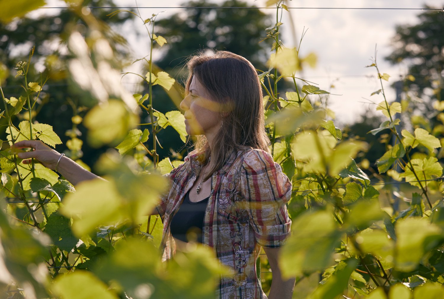 women_behind_the_wine_balbina_01.jpg