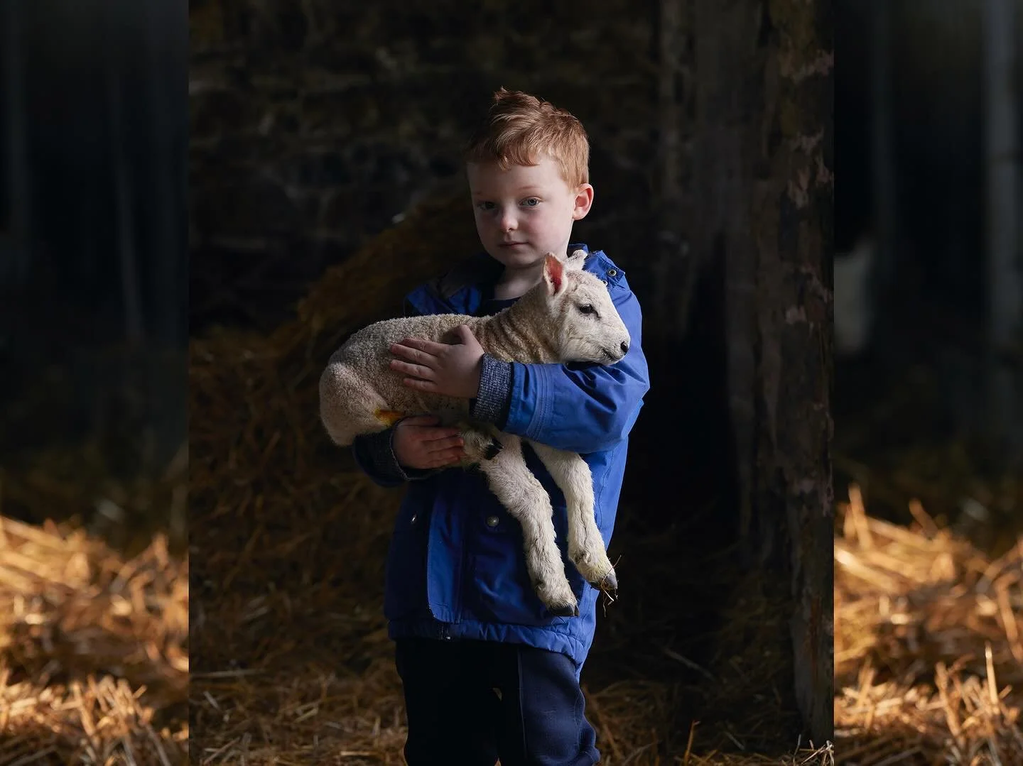 More work for the team at Slade Farm Organics including a portrait of Huw shortlisted for the Taylor Wessing Portrait Prize this year🤞🏻. This work was made to capture the ethos and hard work that goes into farming with nature, creating a system bui