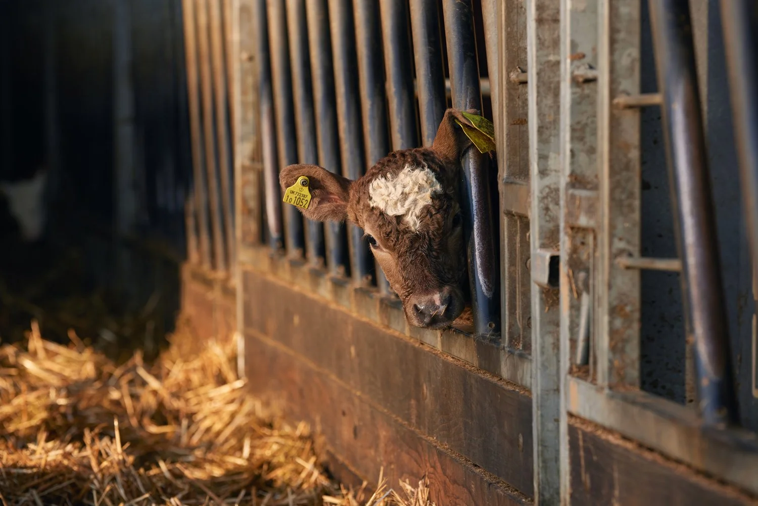 slade_farm_02.jpg