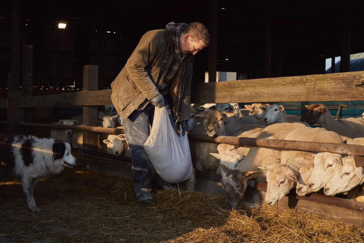 slade_farm_03.jpg