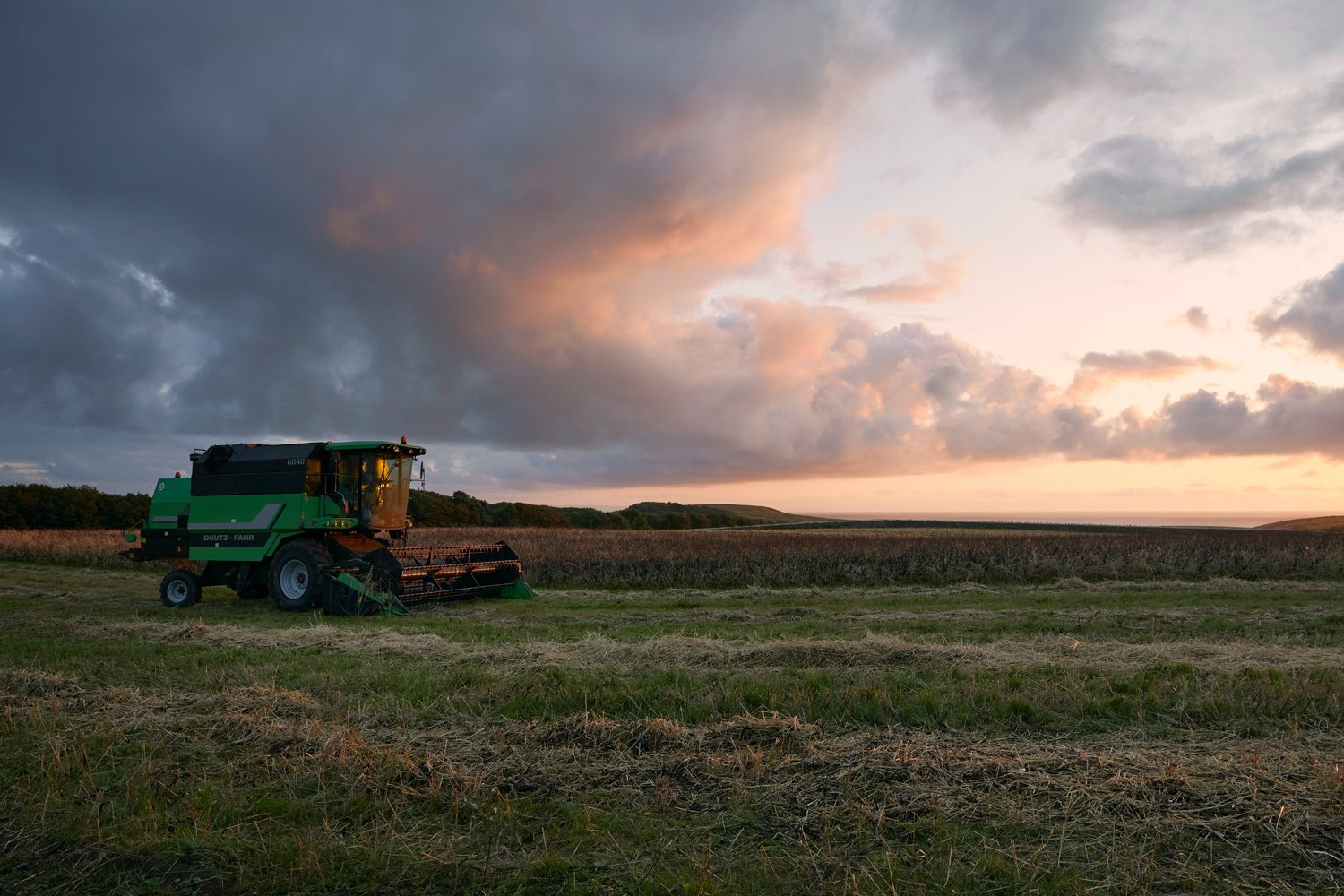 slade_farm_14.jpg