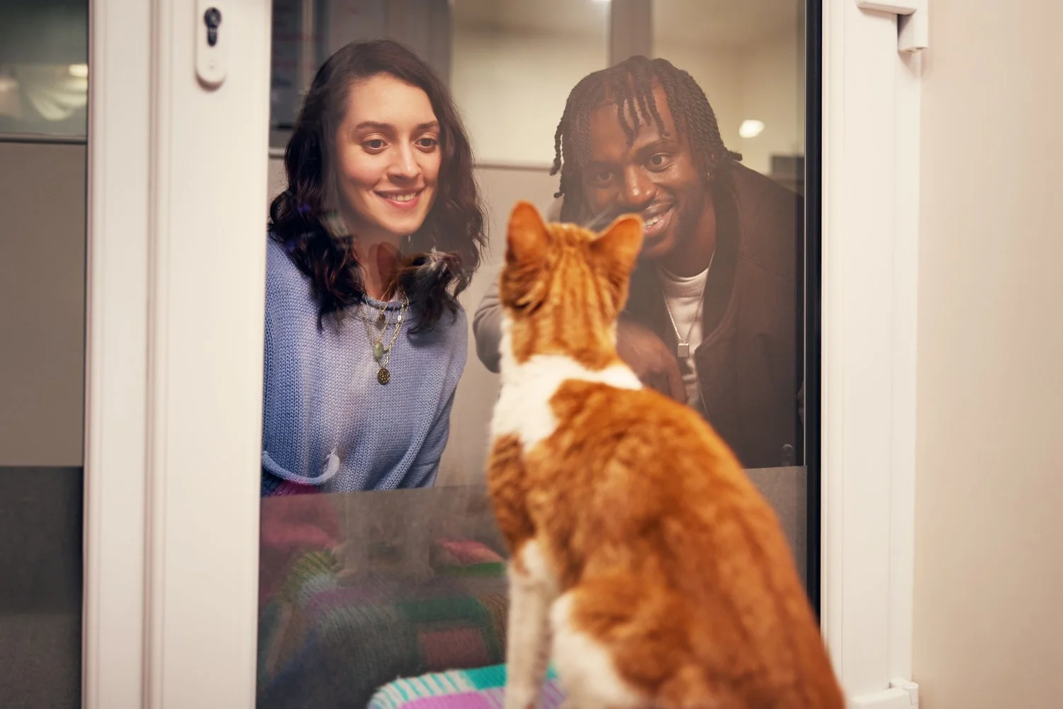 cats_protection_05.jpg