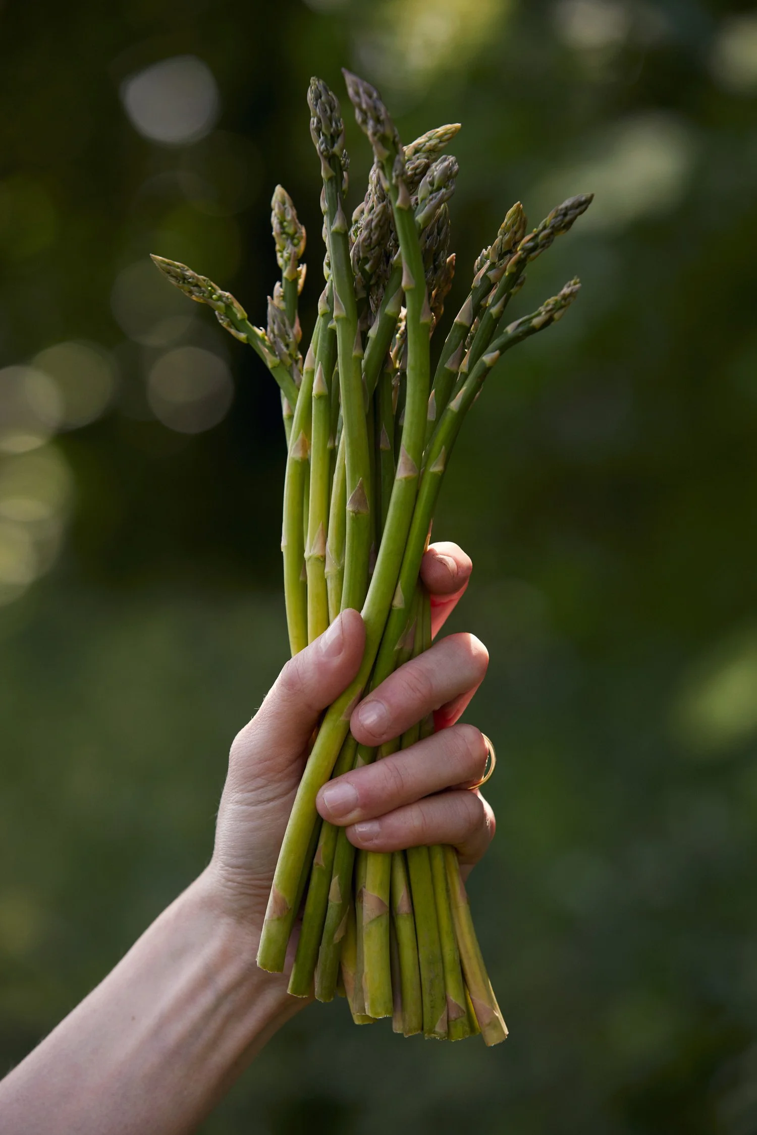slade_farm_27.jpg
