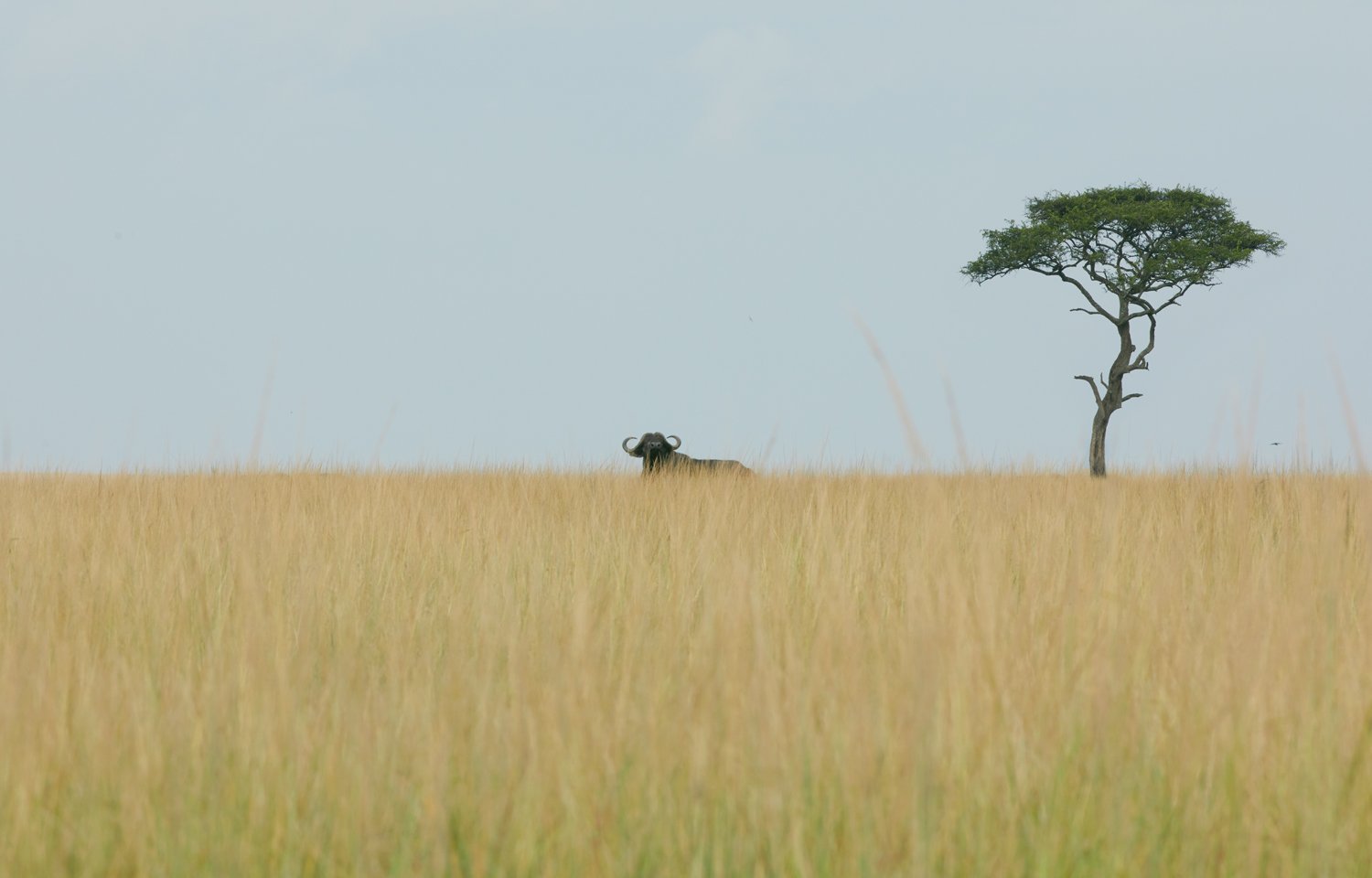 kenya_safari_03.JPG
