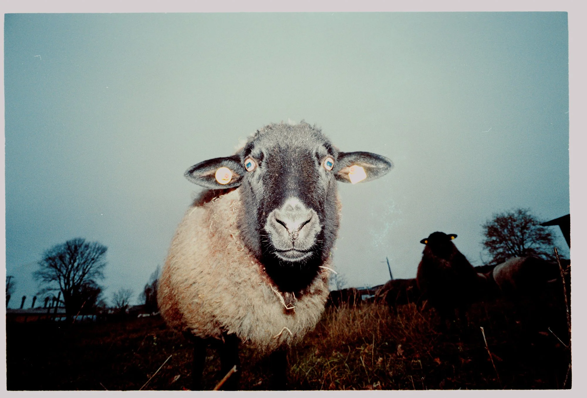 NIKON COOLSCAN_ (131).jpg