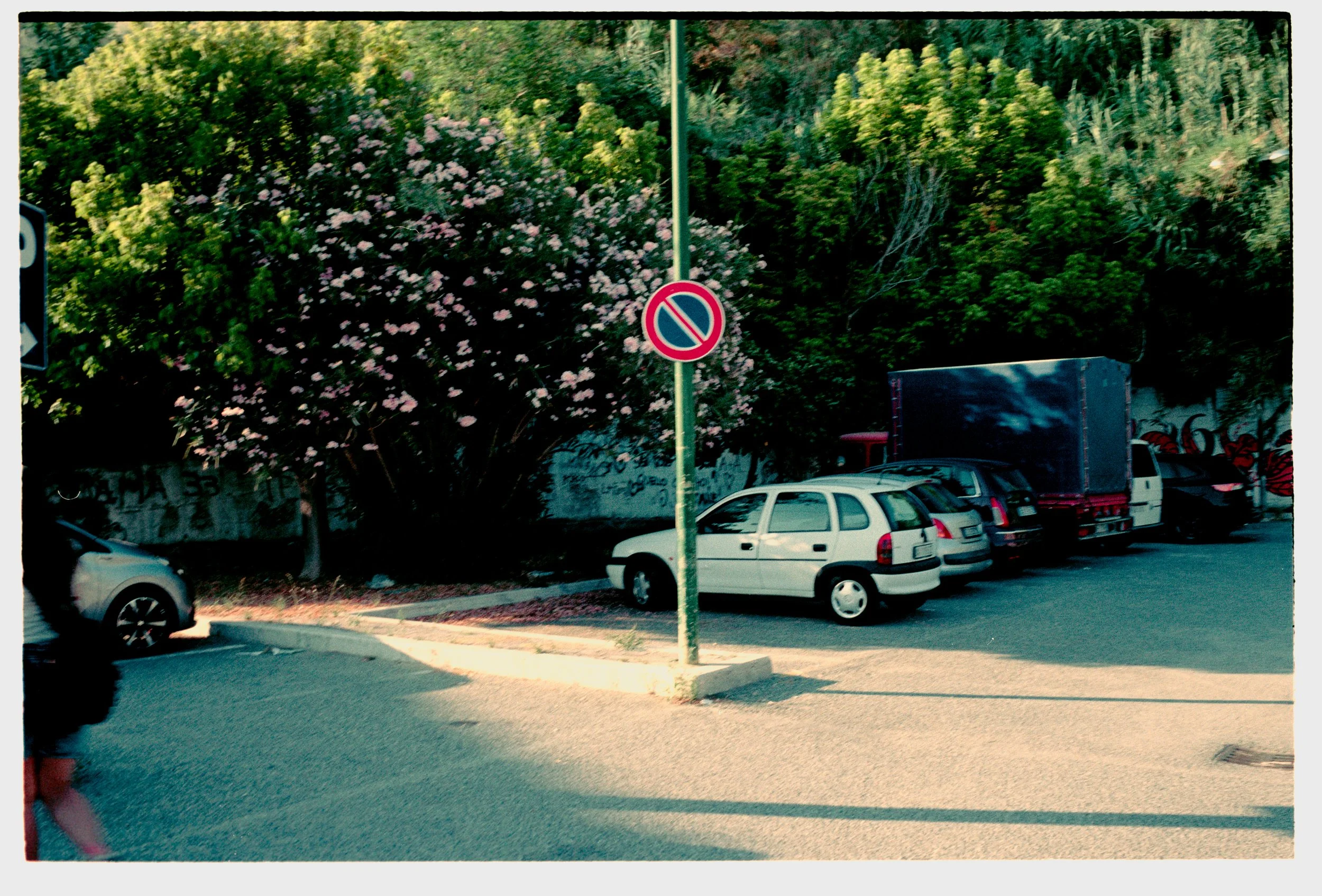 NIKON COOLSCAN_ (834).jpg