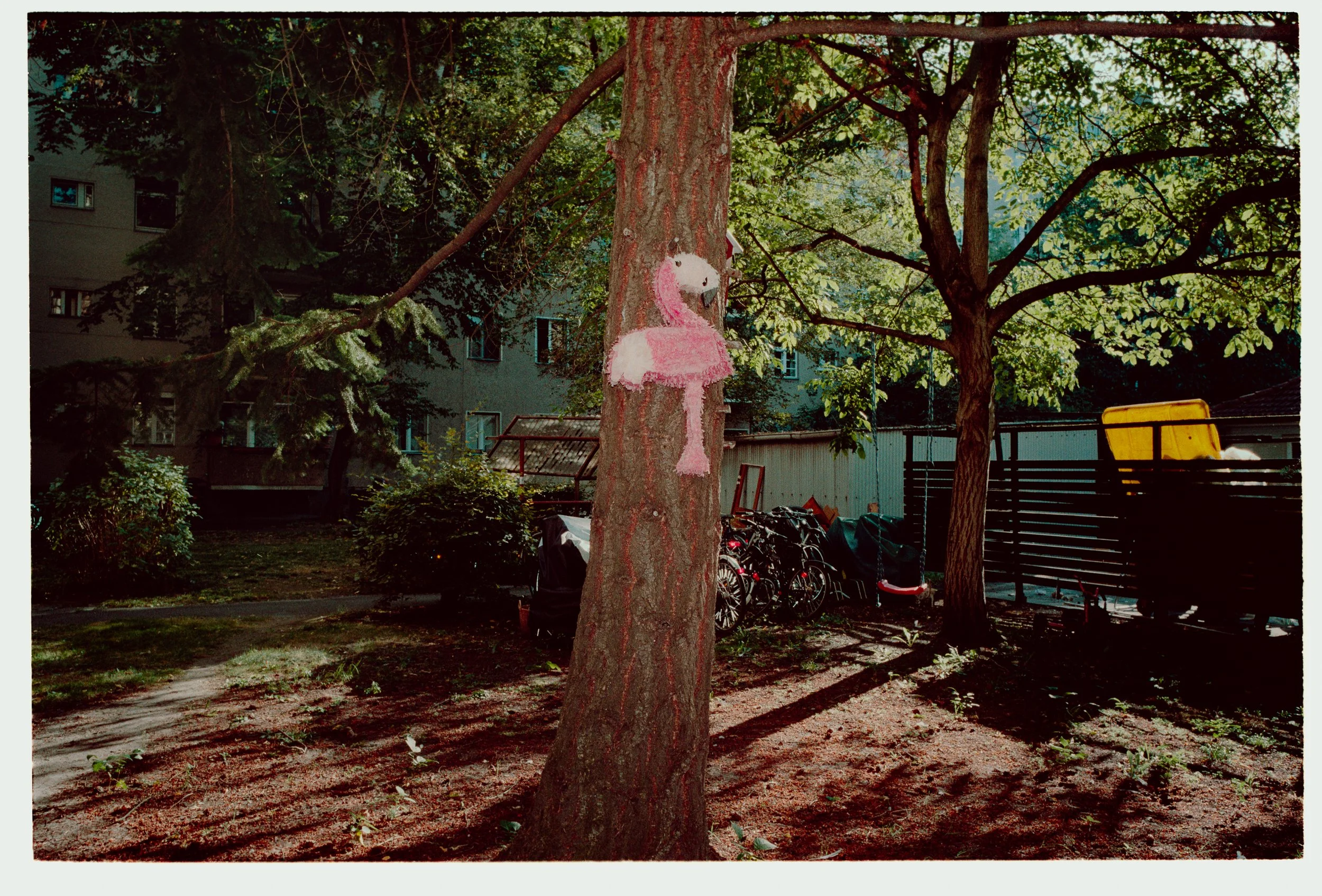 NIKON COOLSCAN 35 (693)-flickr.jpg