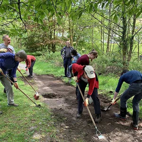 Group of people working together to clear and level a trail through a wooded area, using shovels and rakes.