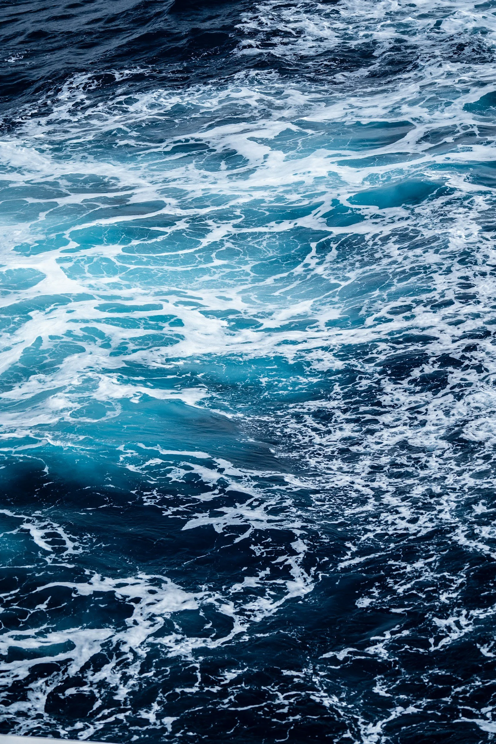 Blue Health with Saz Reed - Marine Science