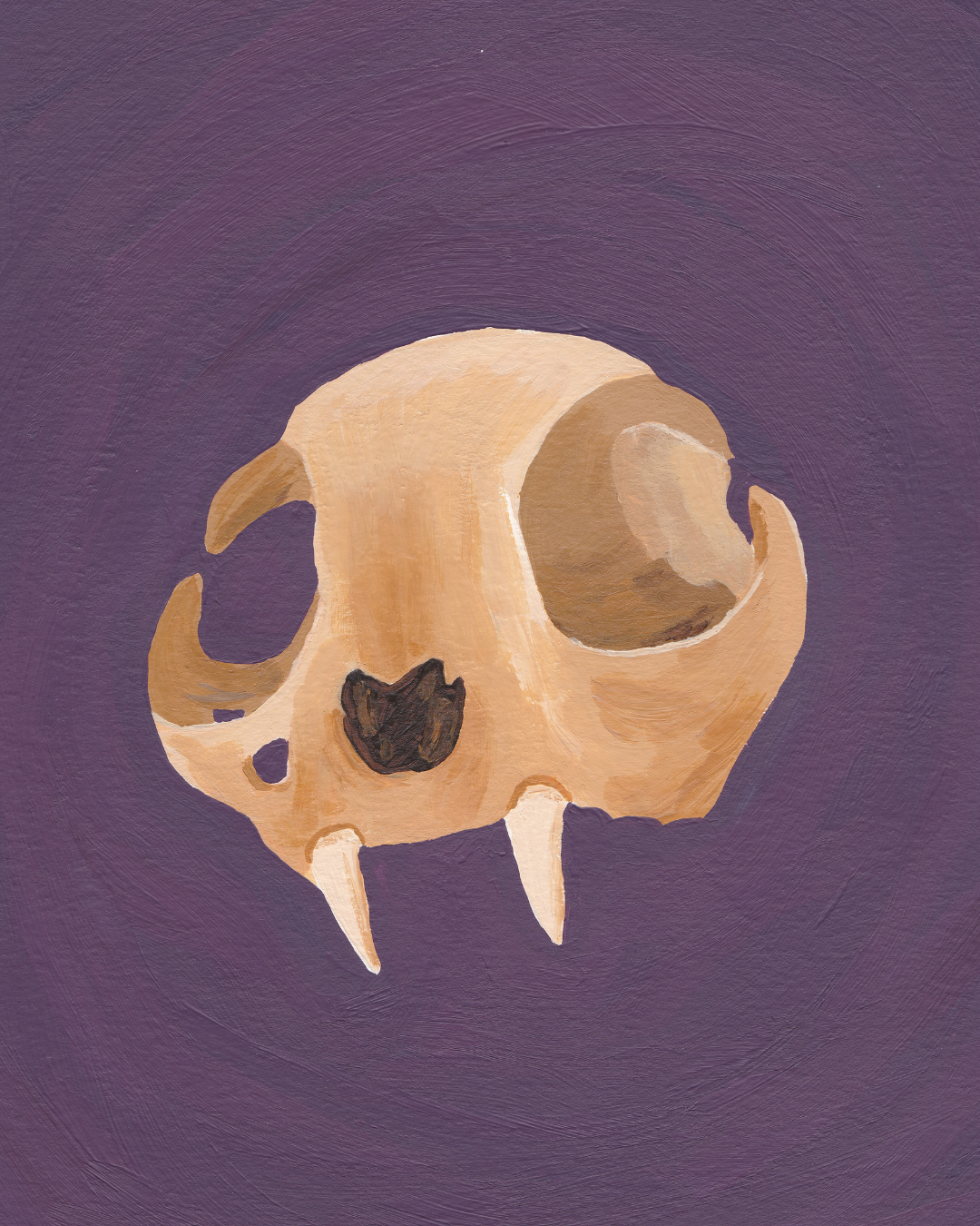Cat skull.png