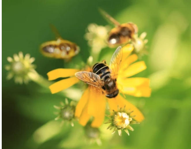 Having or Being? — Respecting Time Without Becoming Its Prisoner