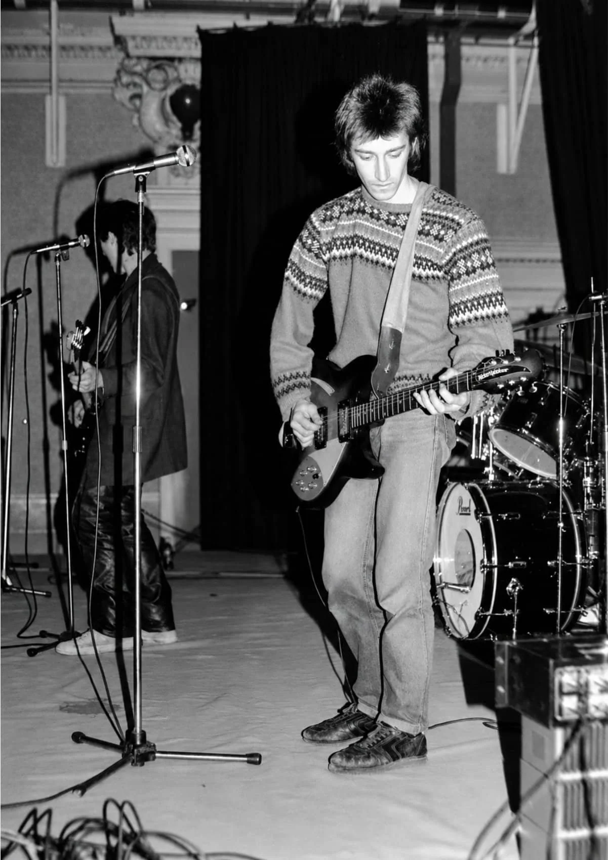 chameleons-5.jpg
