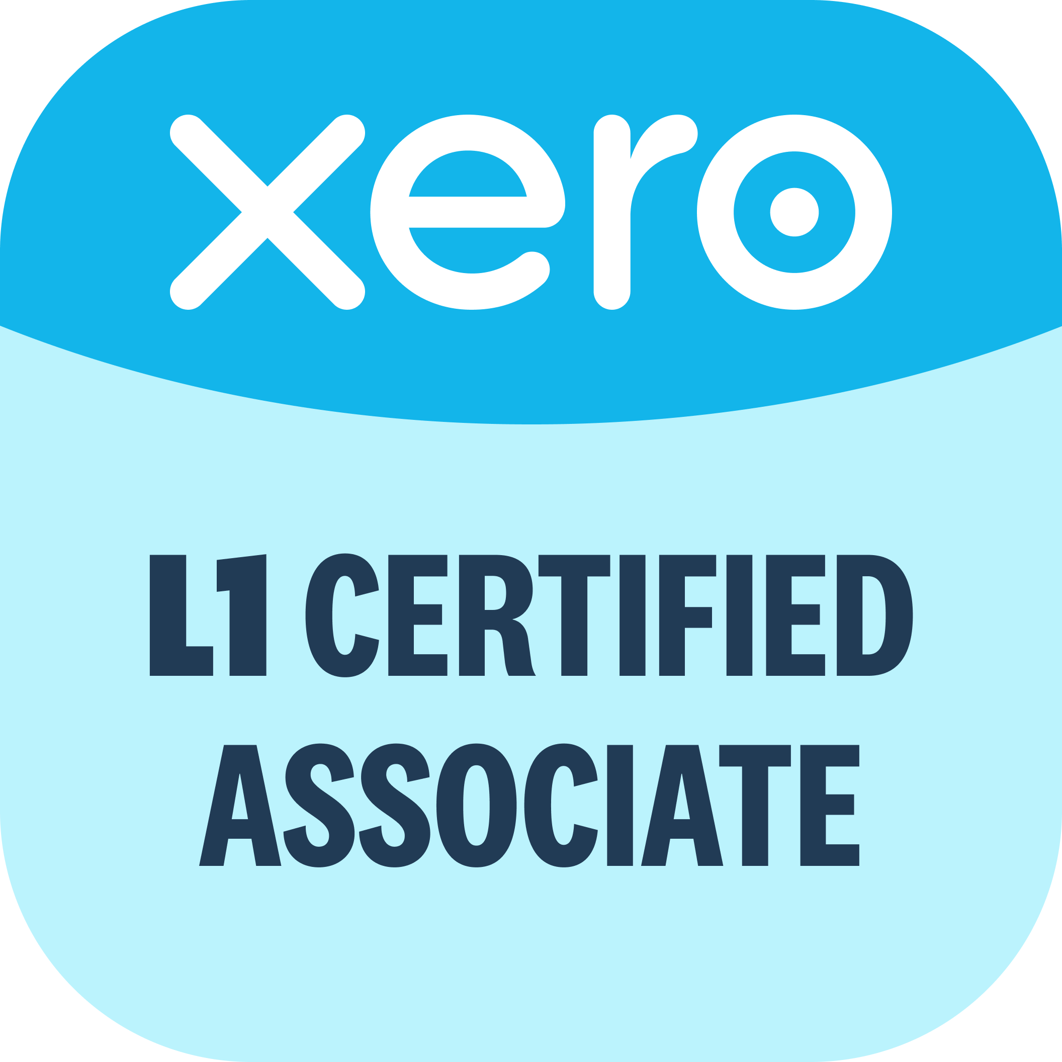 Xero L1 certified associate