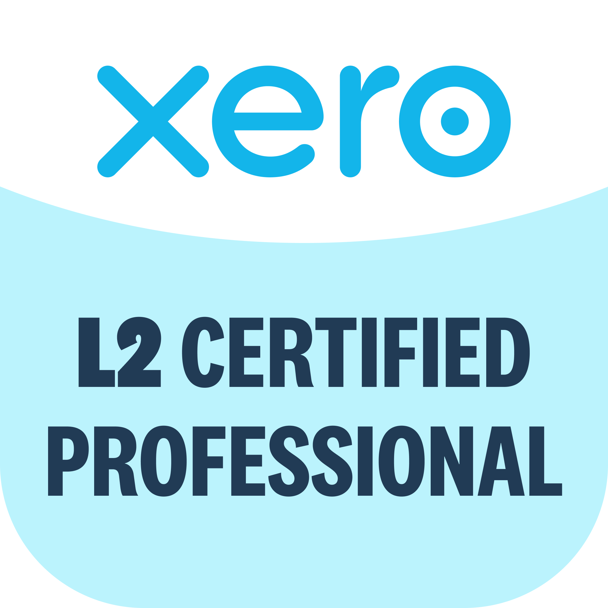Xero L2 certified professional