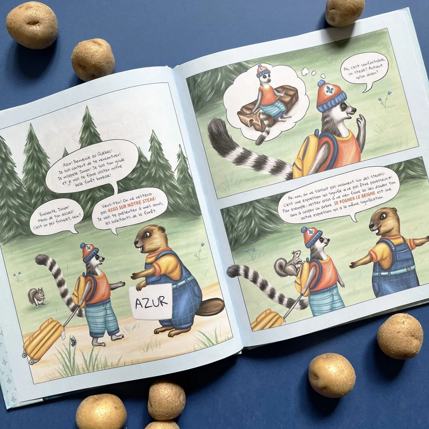 Bande dessinée Lâche pas la patate